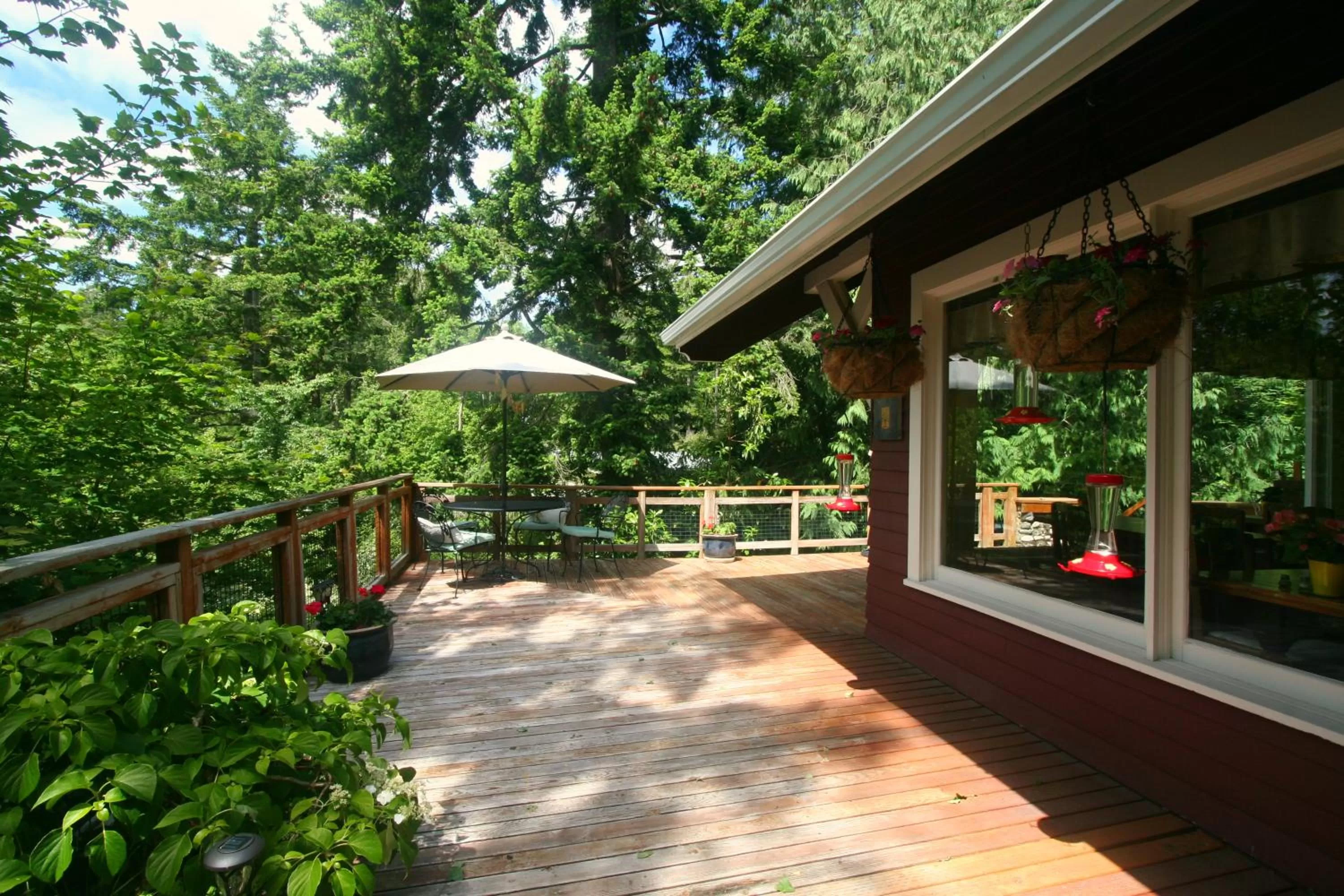 Balcony/Terrace in Kangaroo House Bed & Breakfast