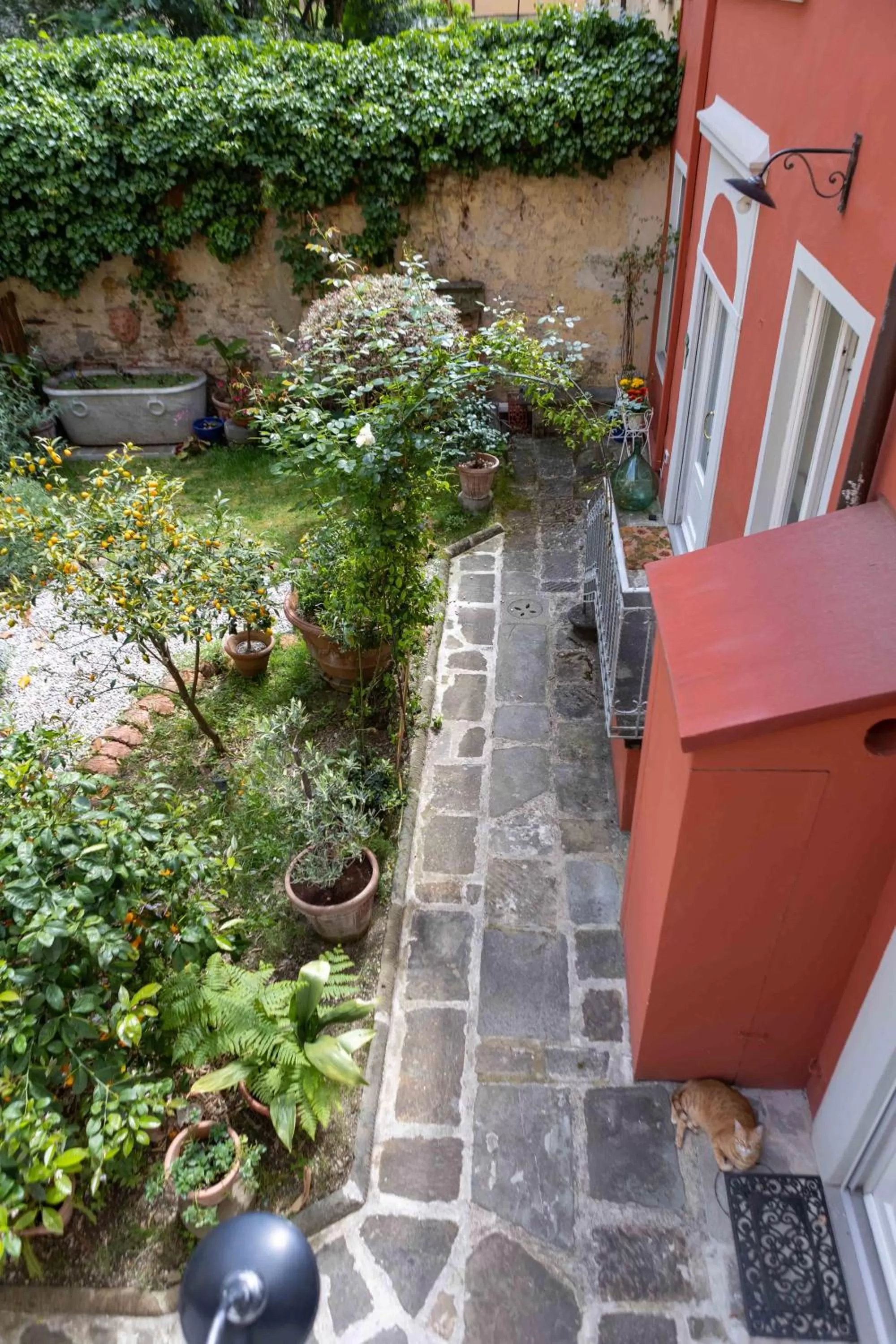 Garden in Secret Garden Firenze B&B