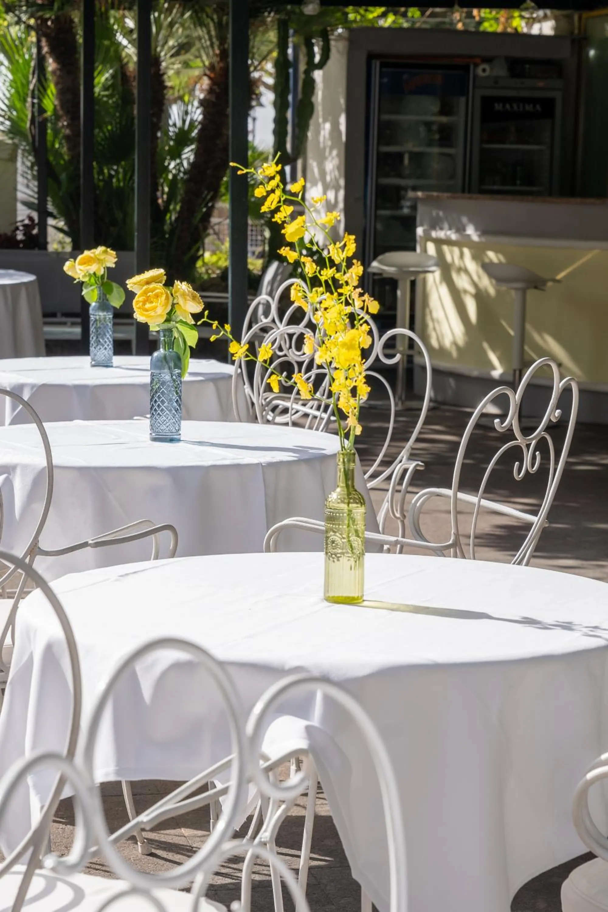 Restaurant/places to eat in Reginna Palace Hotel