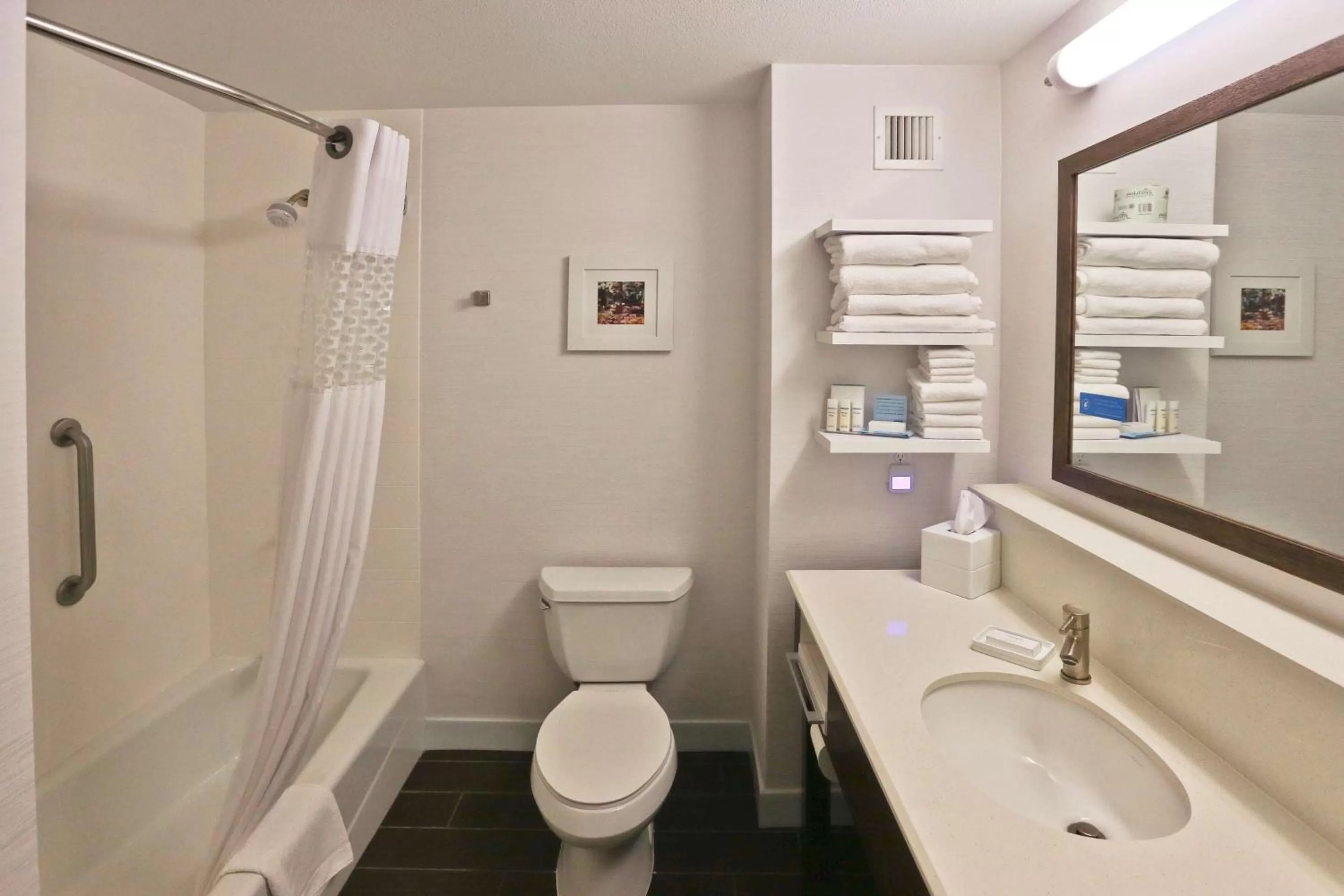 Bathroom in Hampton Inn Billings