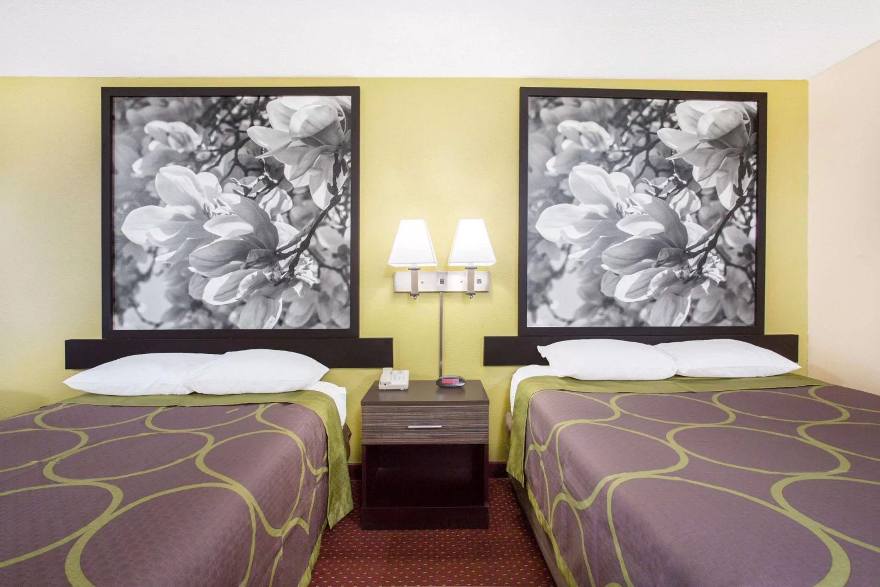 Photo of the whole room in Super 8 by Wyndham Sumter