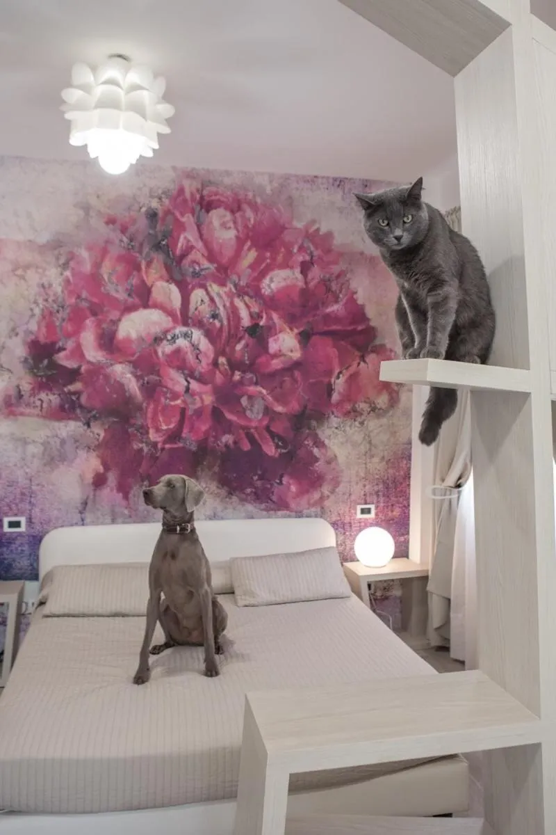 Bed in Hotel Principe