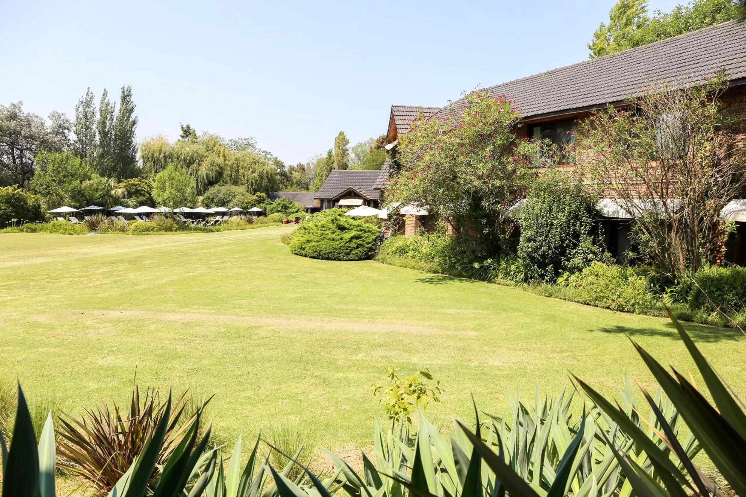 Natural landscape in La Posta del Pilar Hotel & Spa