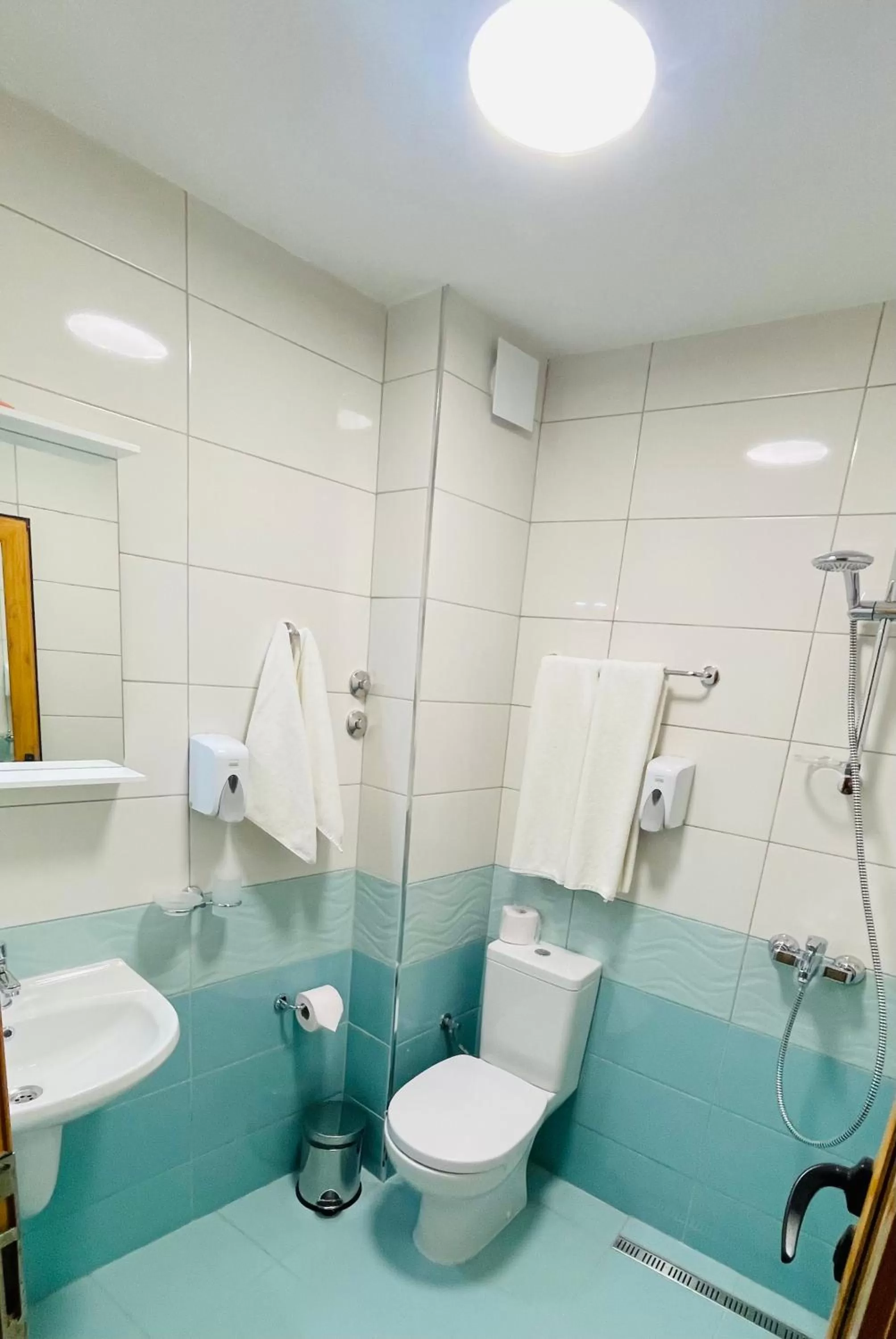 Shower in Hotel Color