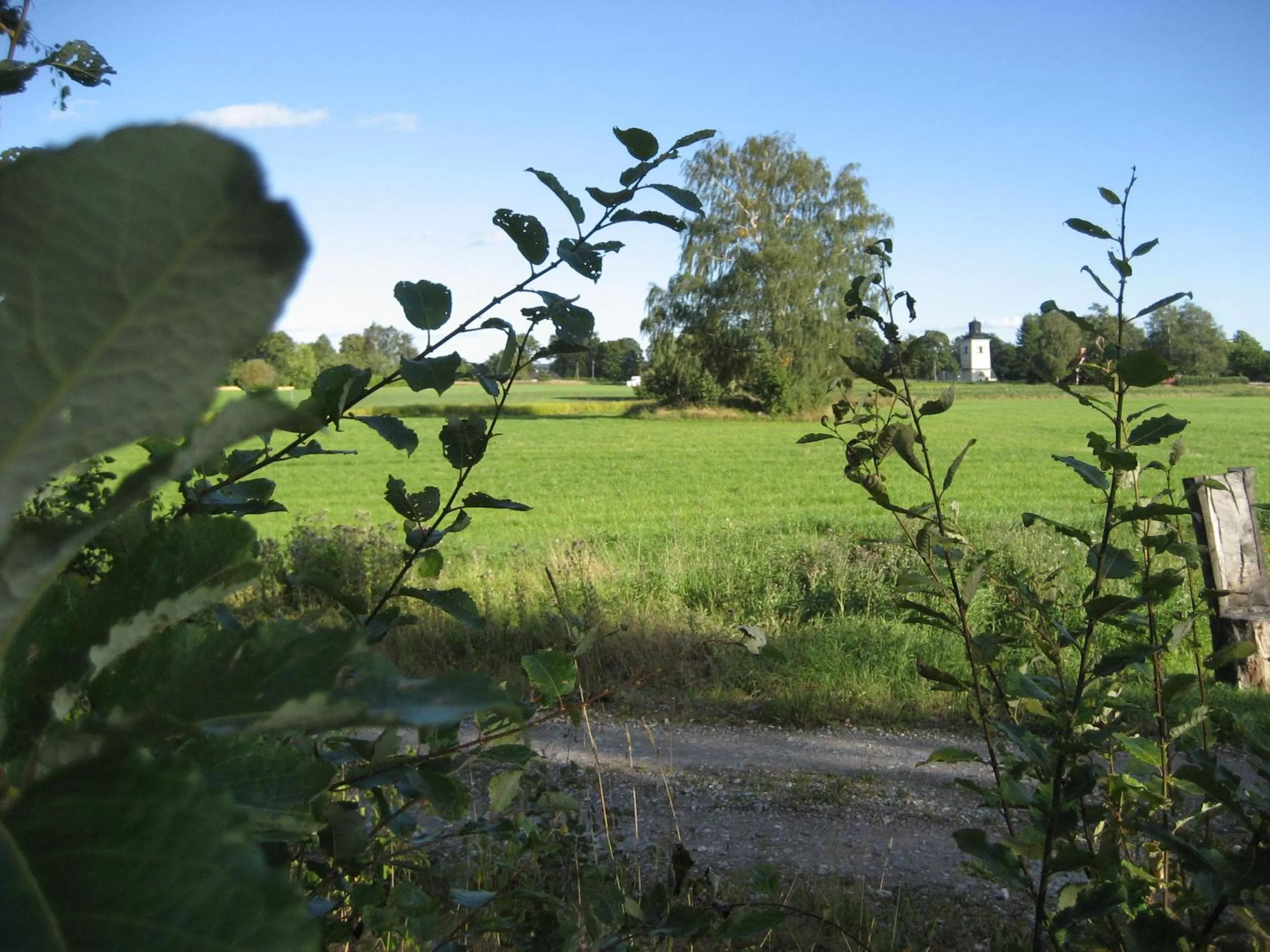 Garden view in Woodstock B&B & Studio Apartments