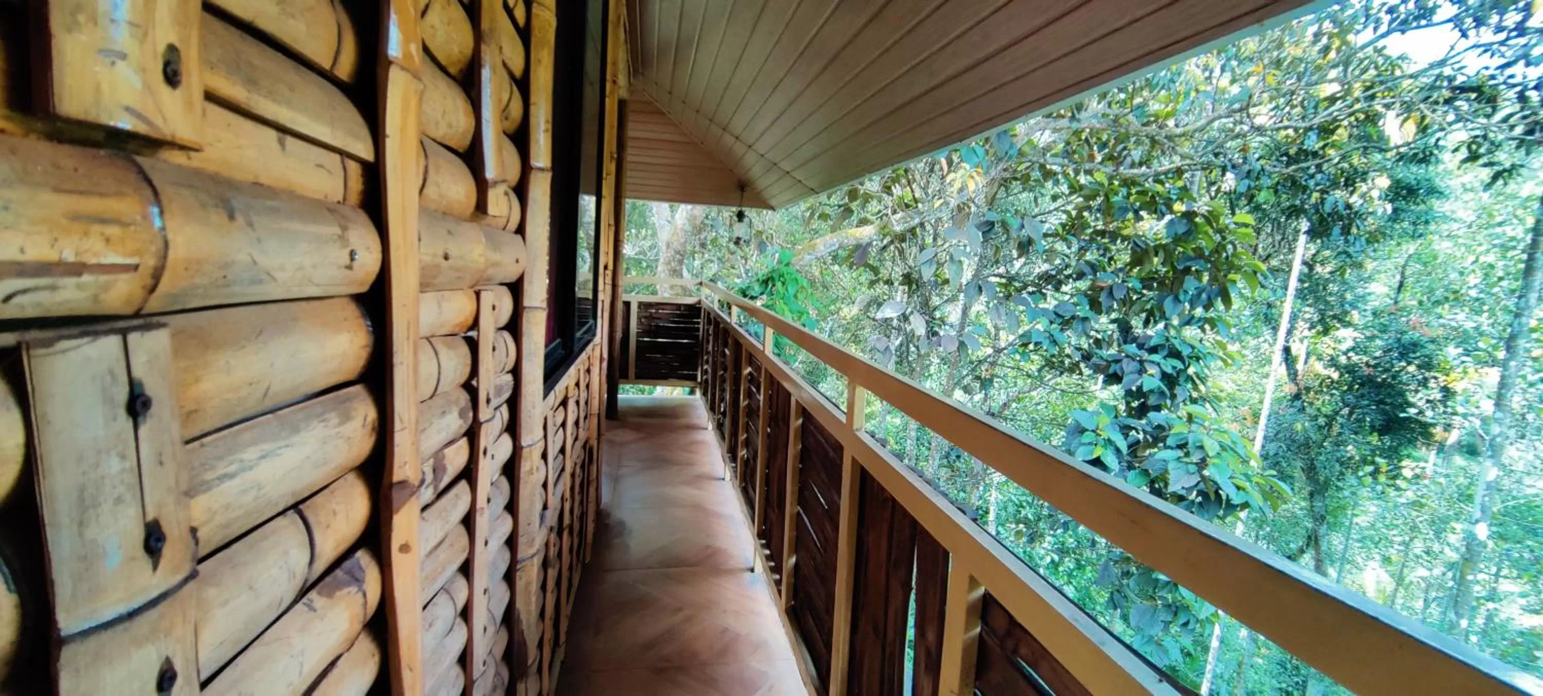 Balcony/Terrace in Chalona Jungle Vibe