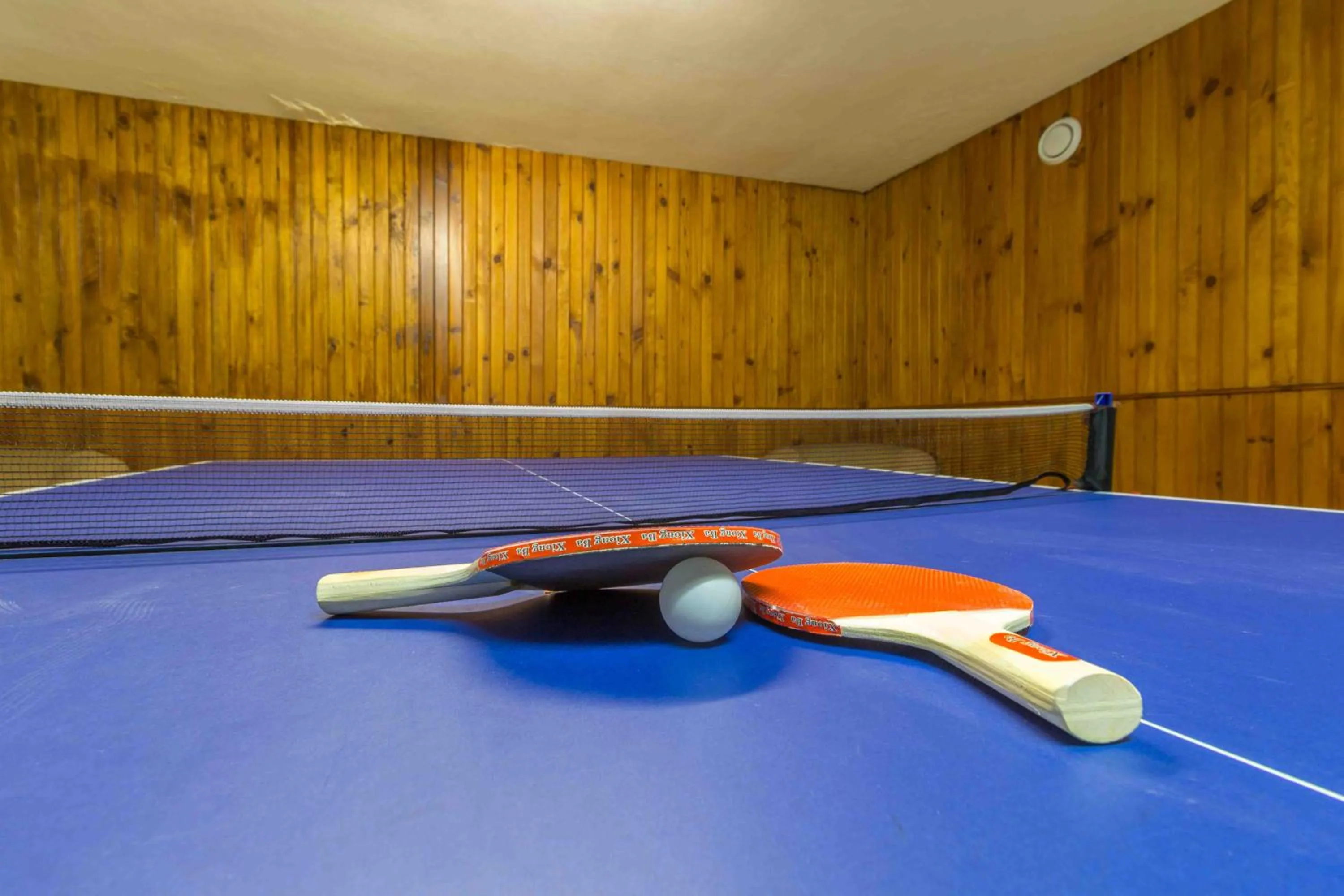 Game Room in Hotel Eurosol Seia Camelo