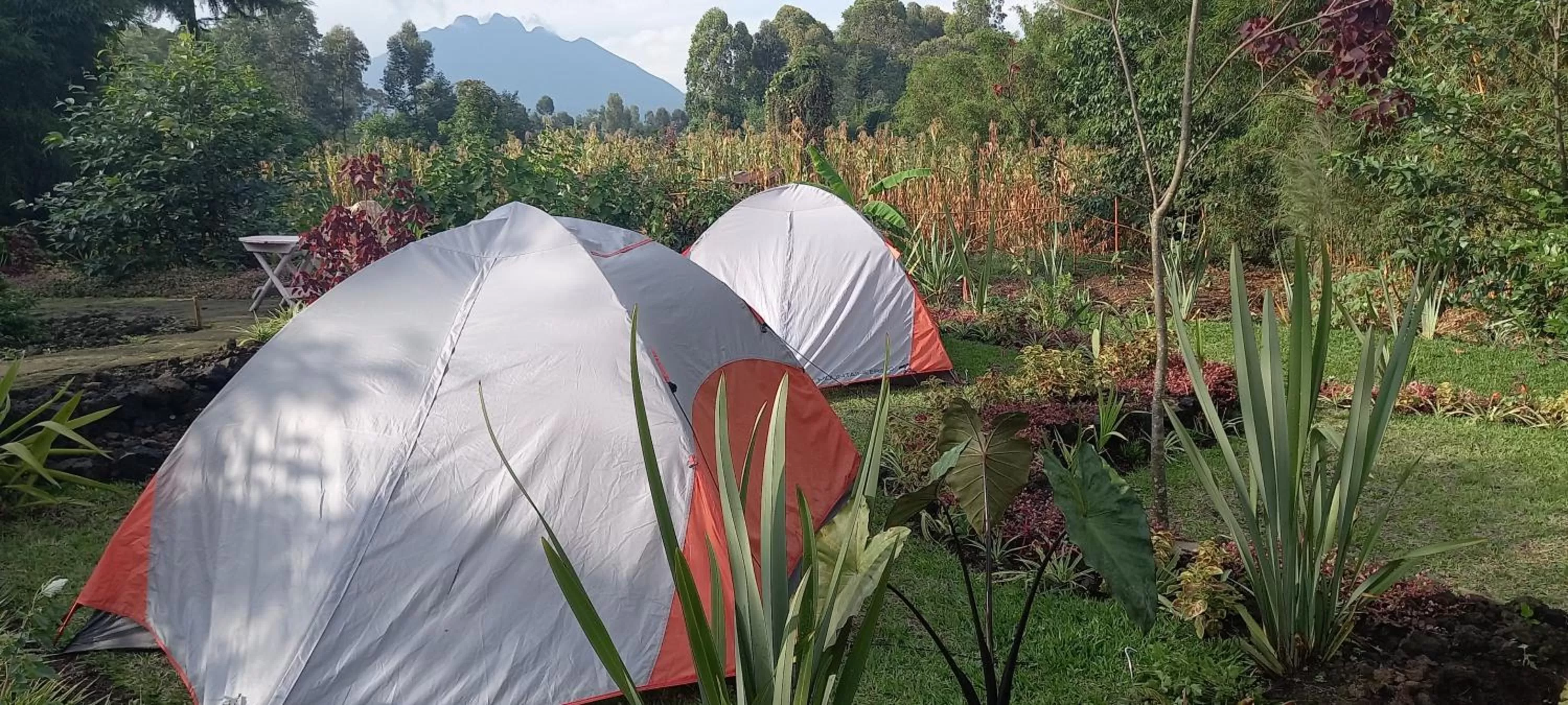 Day, Property Building in Fravan Eco Resort By Apogee