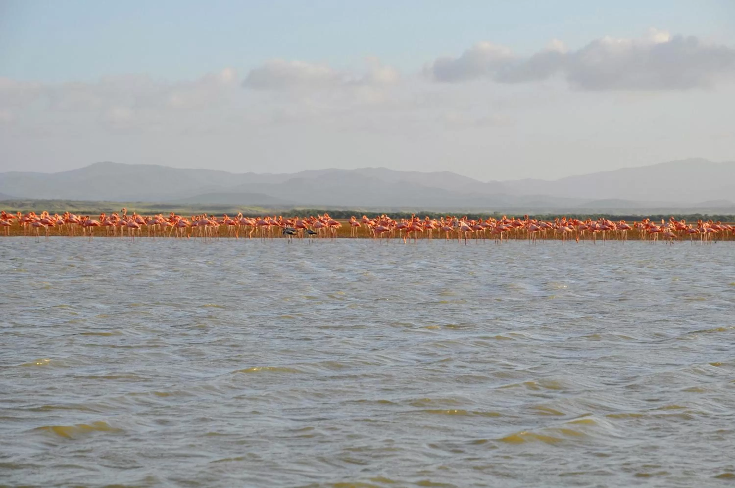 Nearby landmark in Bona Vida Hotel