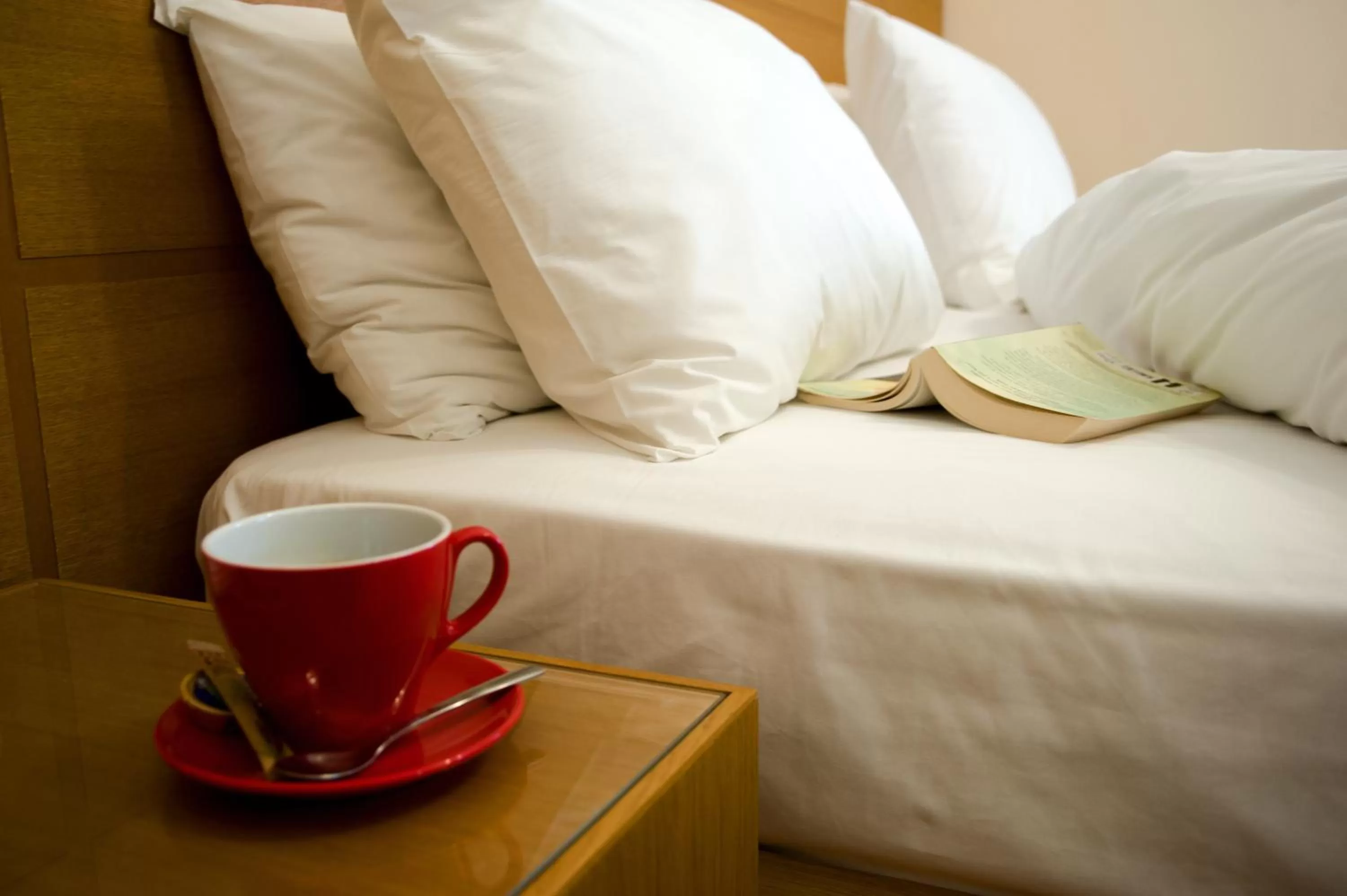 Photo of the whole room, Bed in Olympion