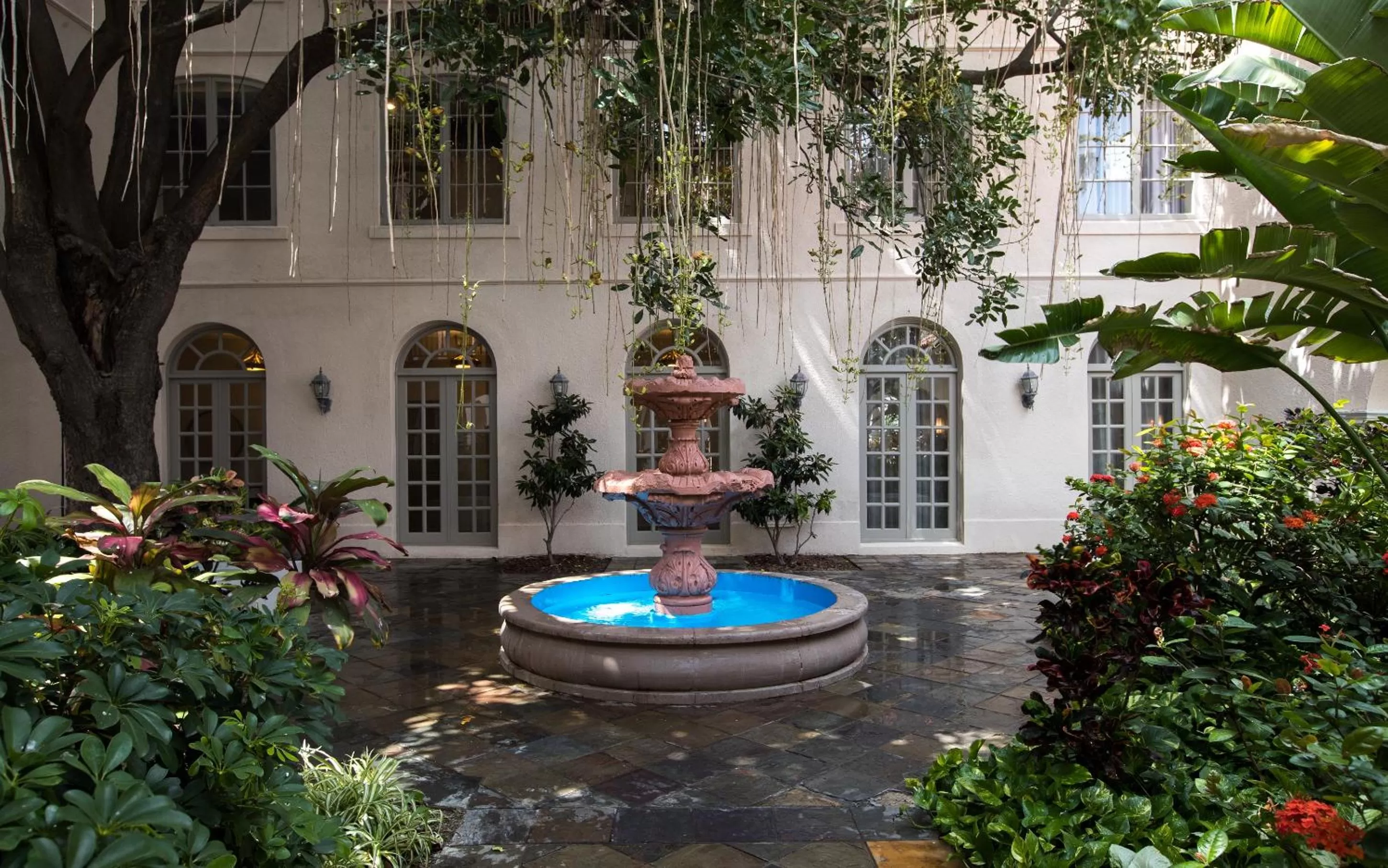 Patio in Casa De Palmas, Trademark Collection by Wyndham