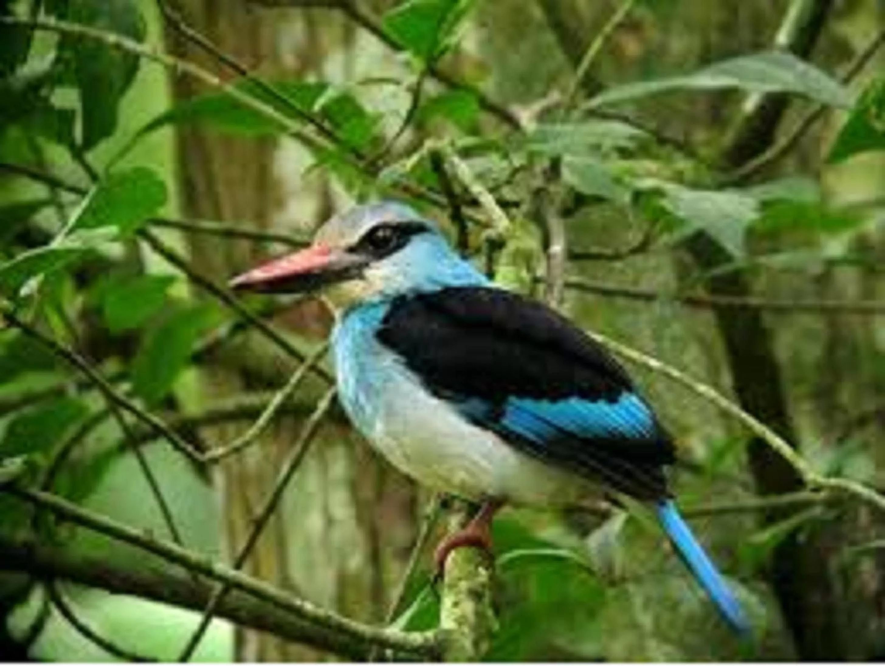 Nearby landmark in Marrets International Hotel - "Express"