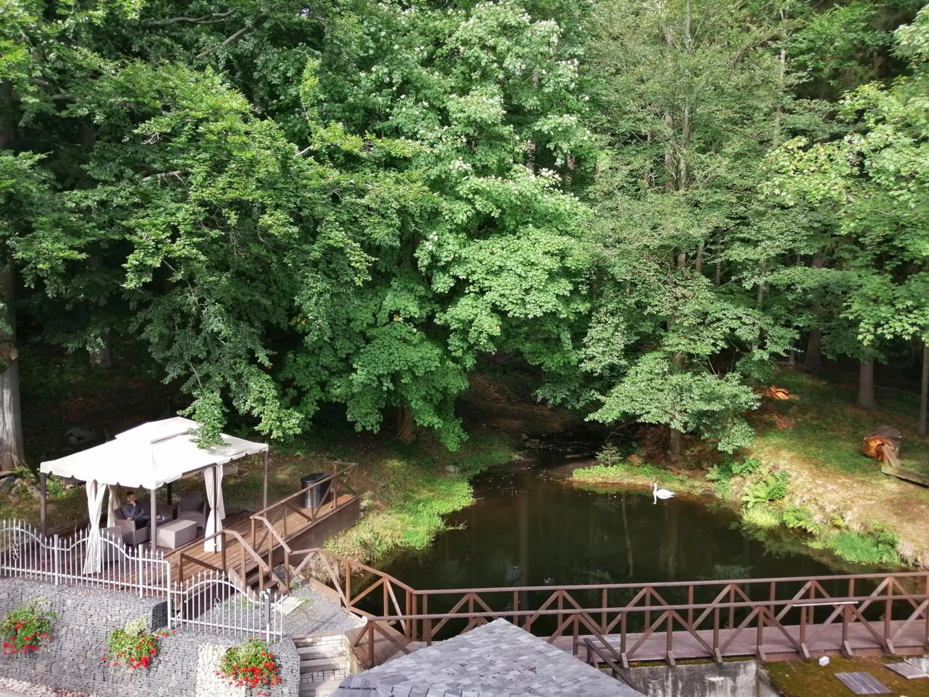 Lake view in Parkhotel Forest