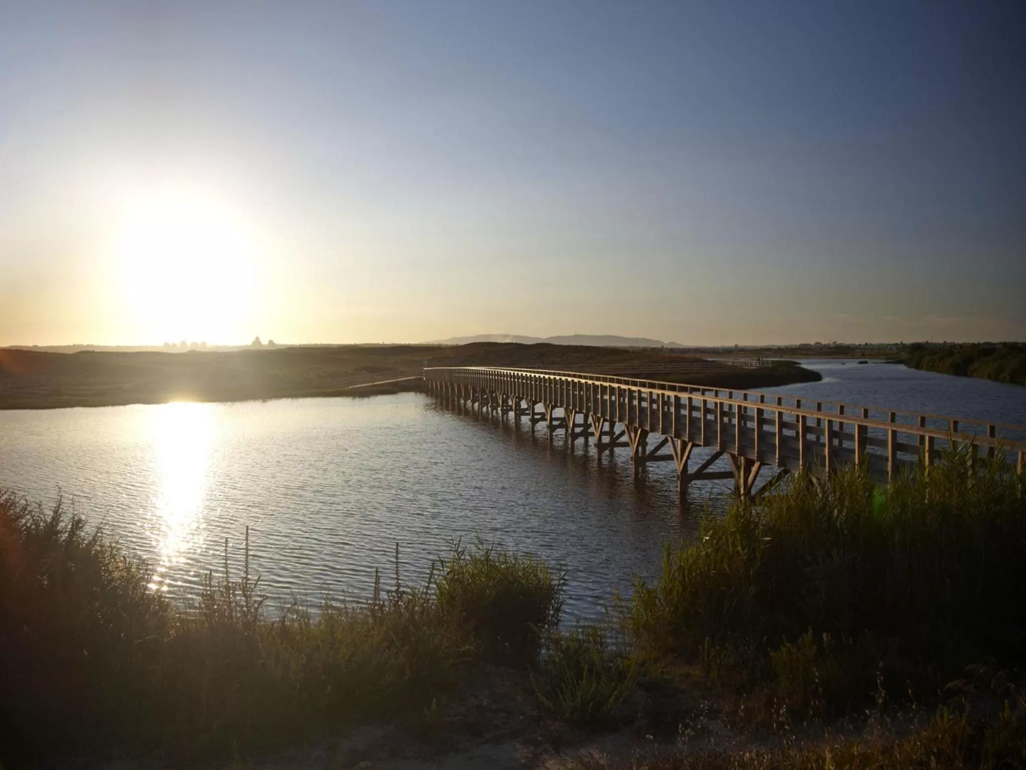 Natural landscape in VidaMar Resort Hotel Algarve