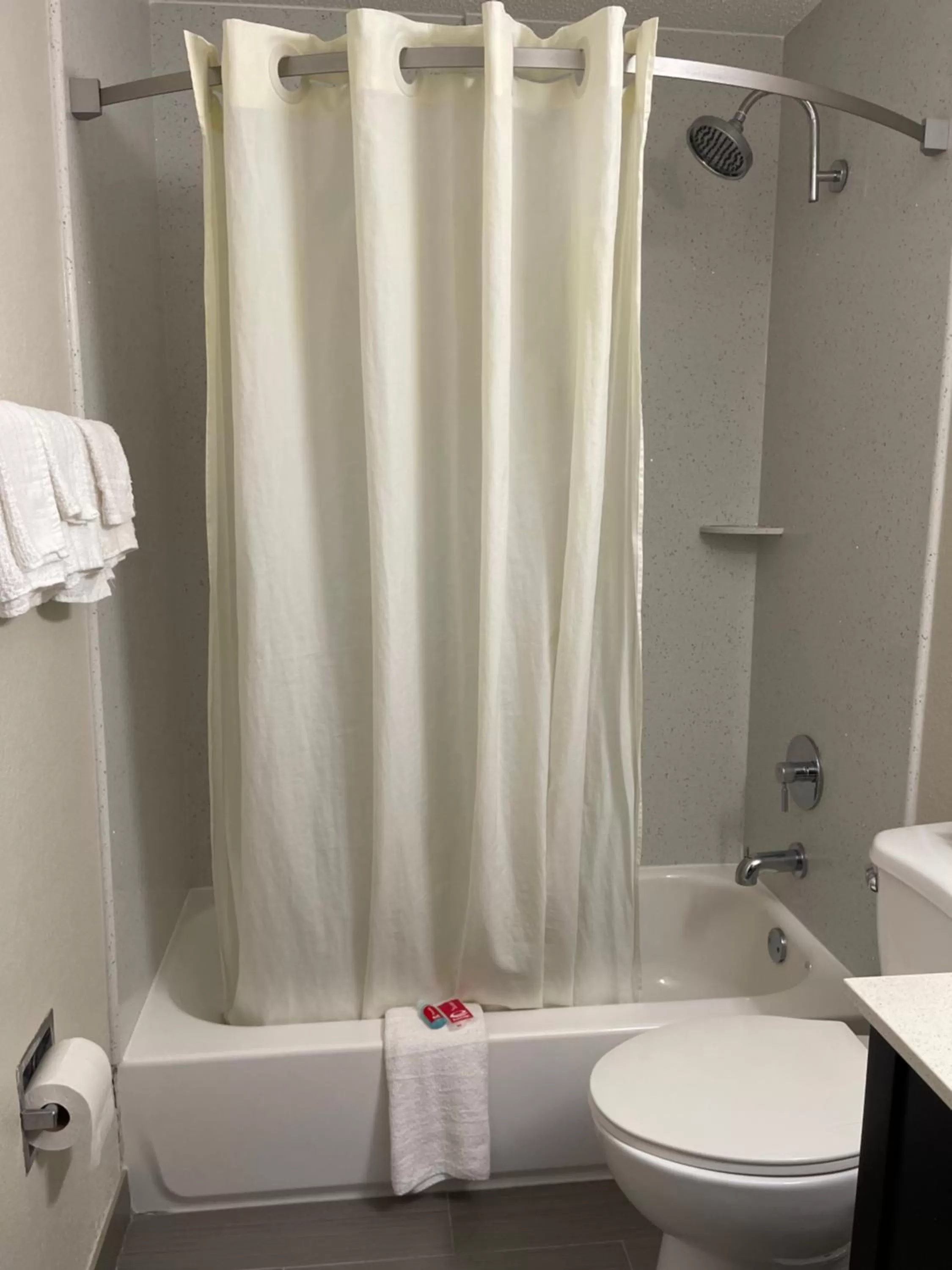 Bathroom in Econo Lodge Cartersville-Emerson Lake Point