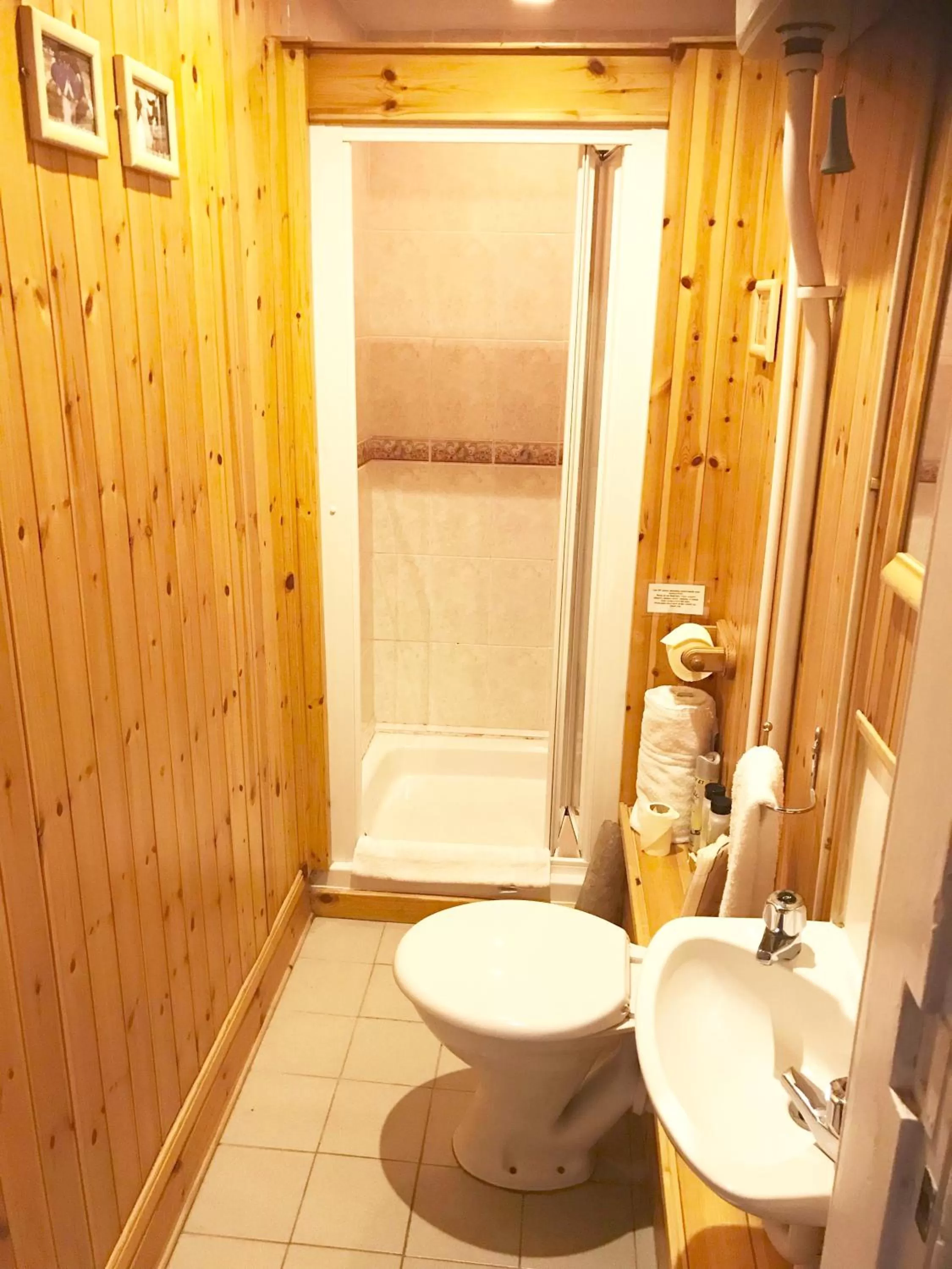 Shower in Ferintosh Guest House