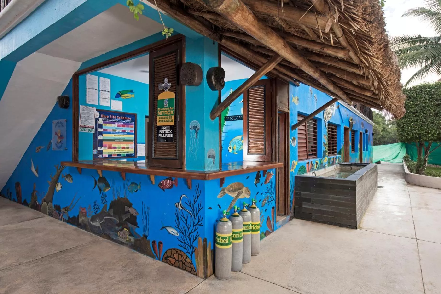 Diving in Iberostar Waves Cozumel - All Inclusive