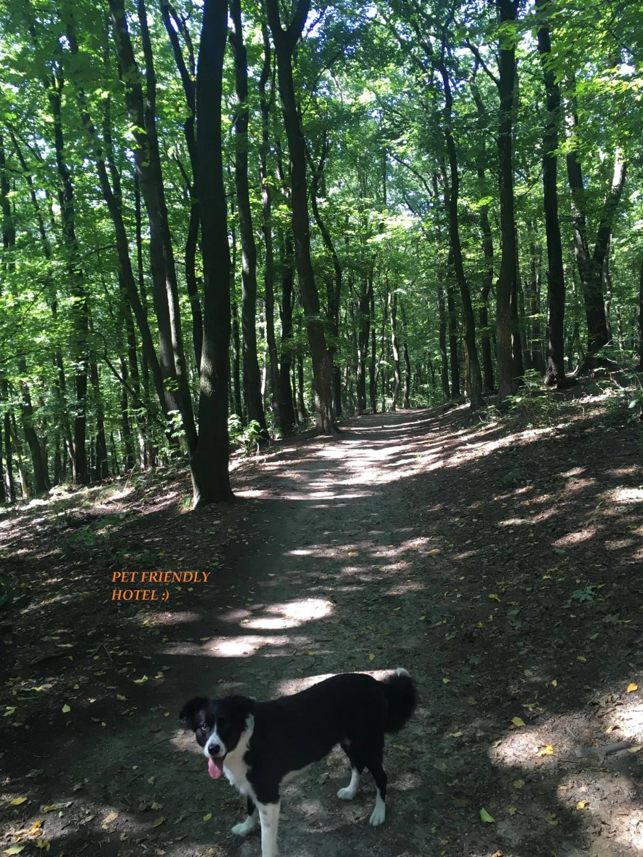 Natural landscape in Hotel West