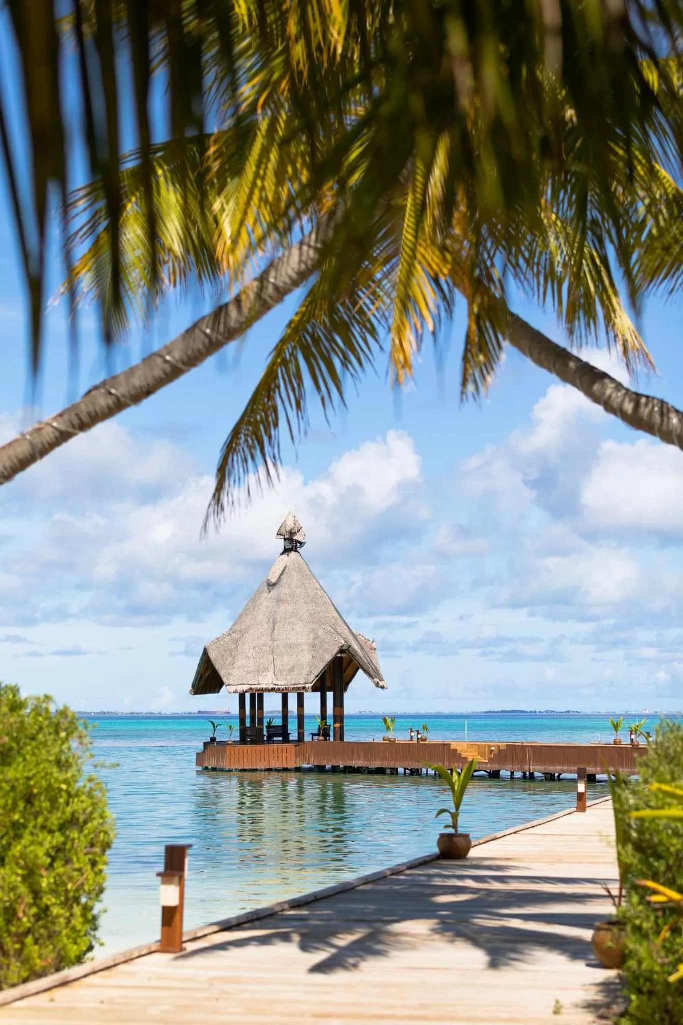 Day in Canareef Resort Maldives