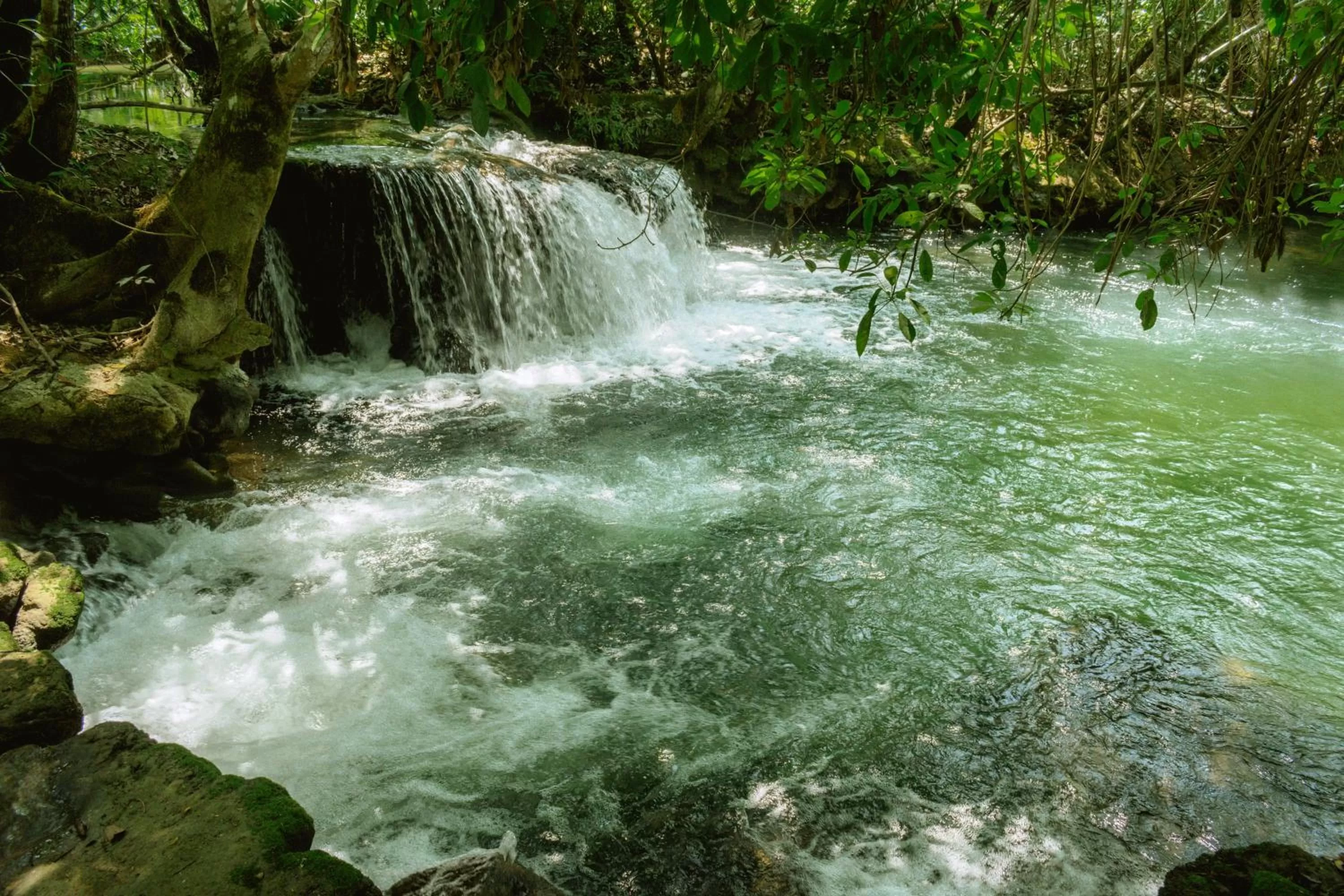 Natural landscape in Hotel Santa Esmeralda