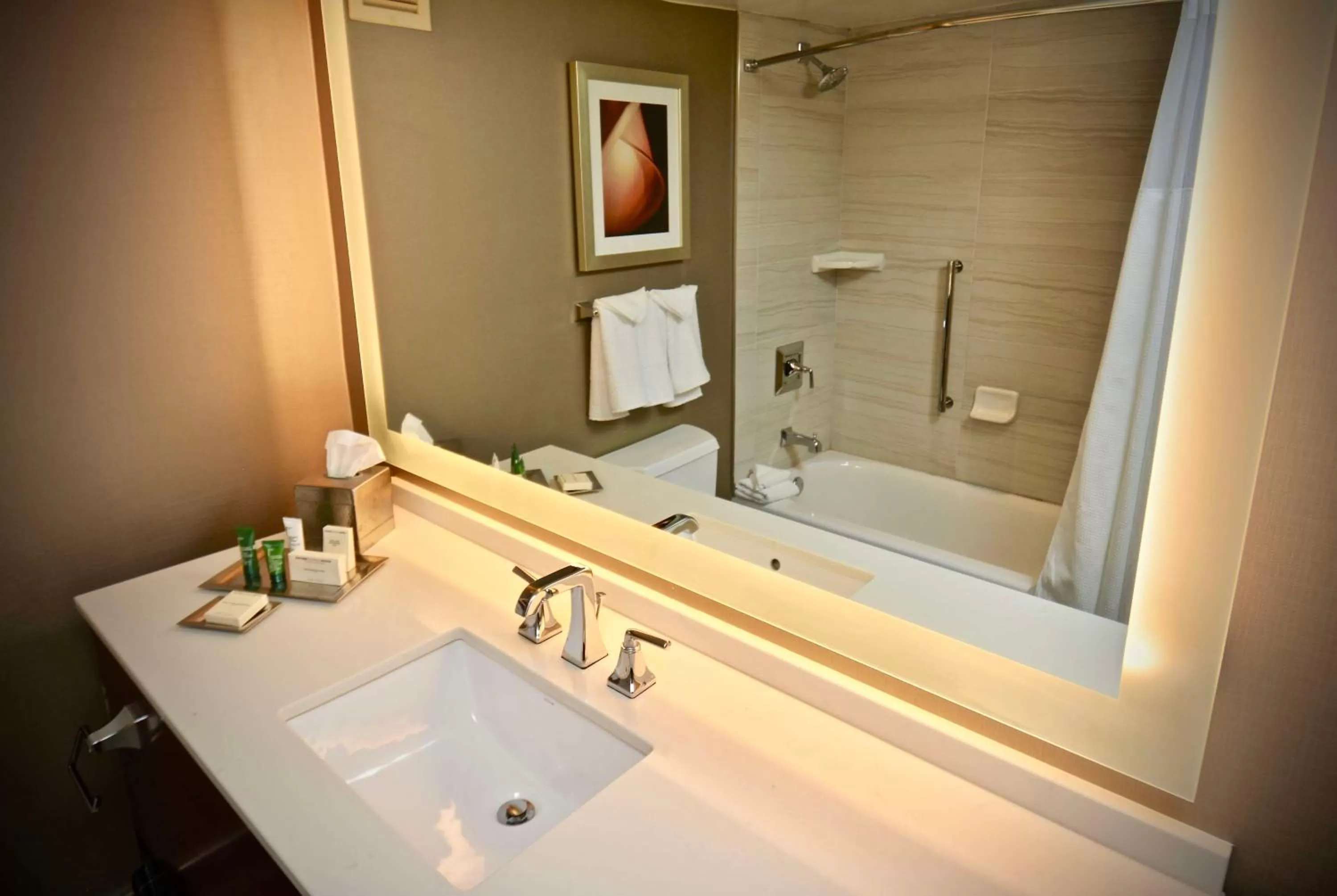 Bathroom in Hilton Atlanta Northeast