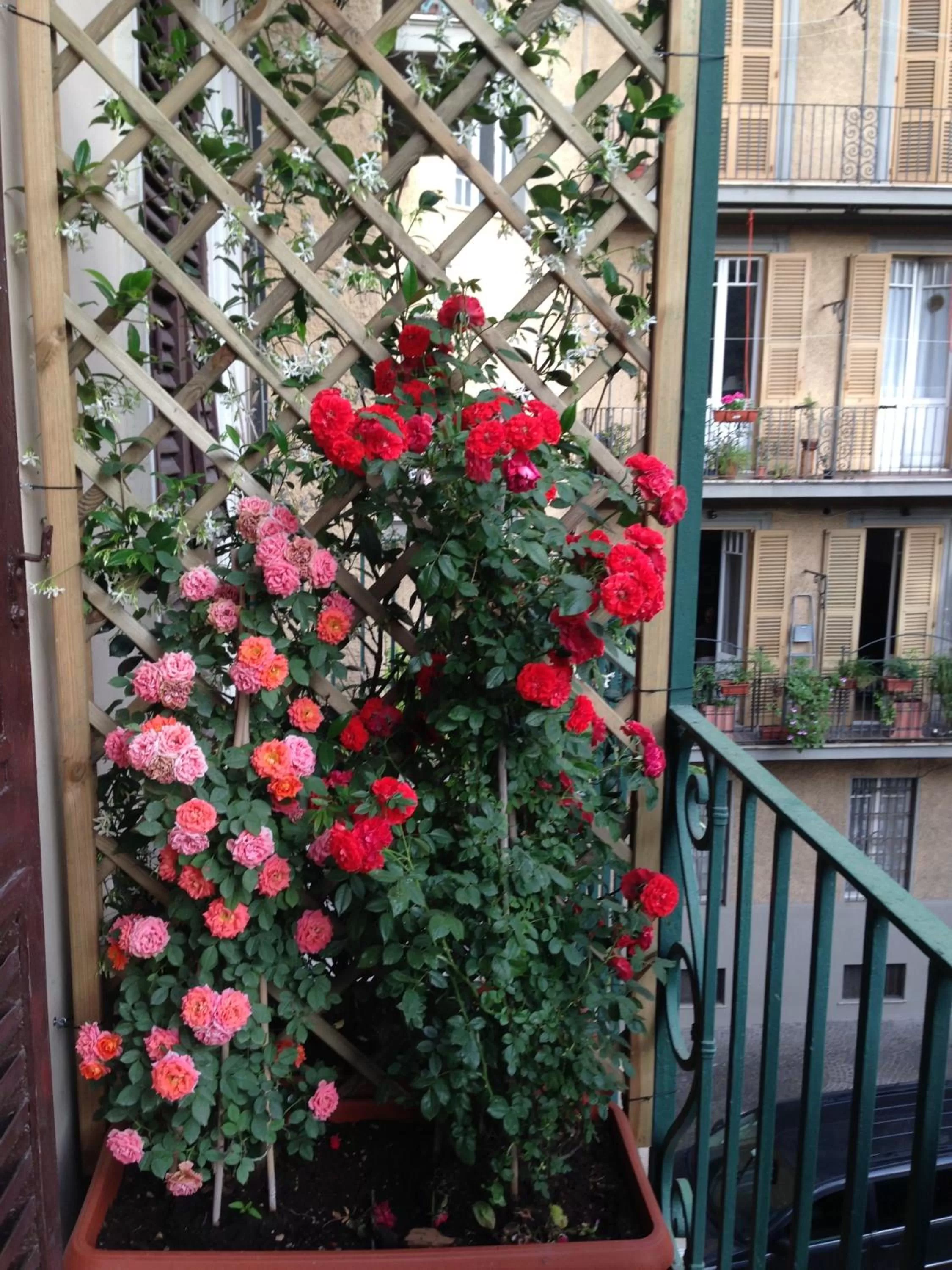 Balcony/Terrace in La Breccia A Porta Pia