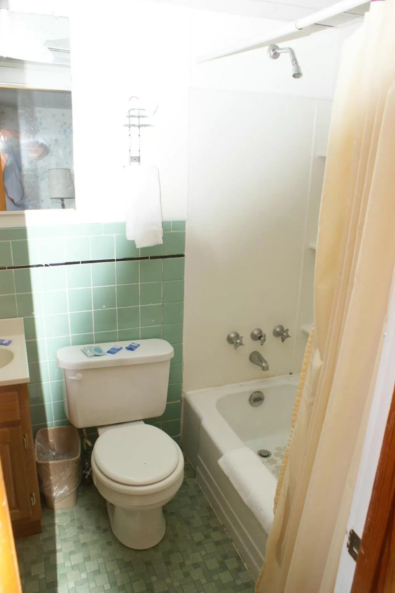 Bathroom in Northern Peaks Motor Inn