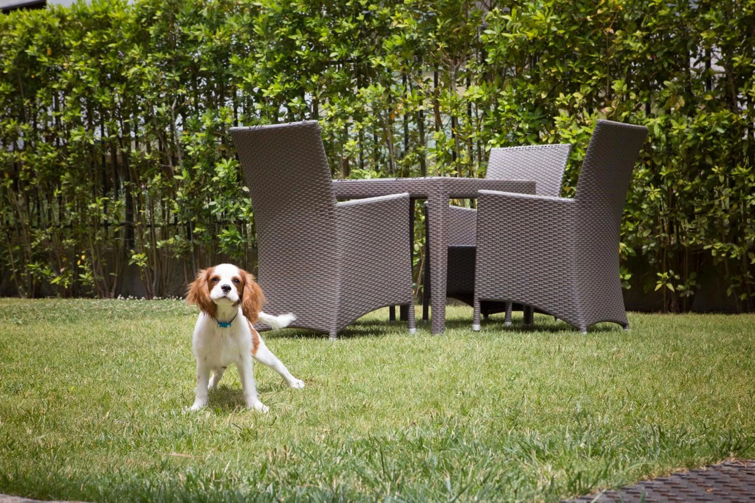 Day in Hotel Casino Ridola