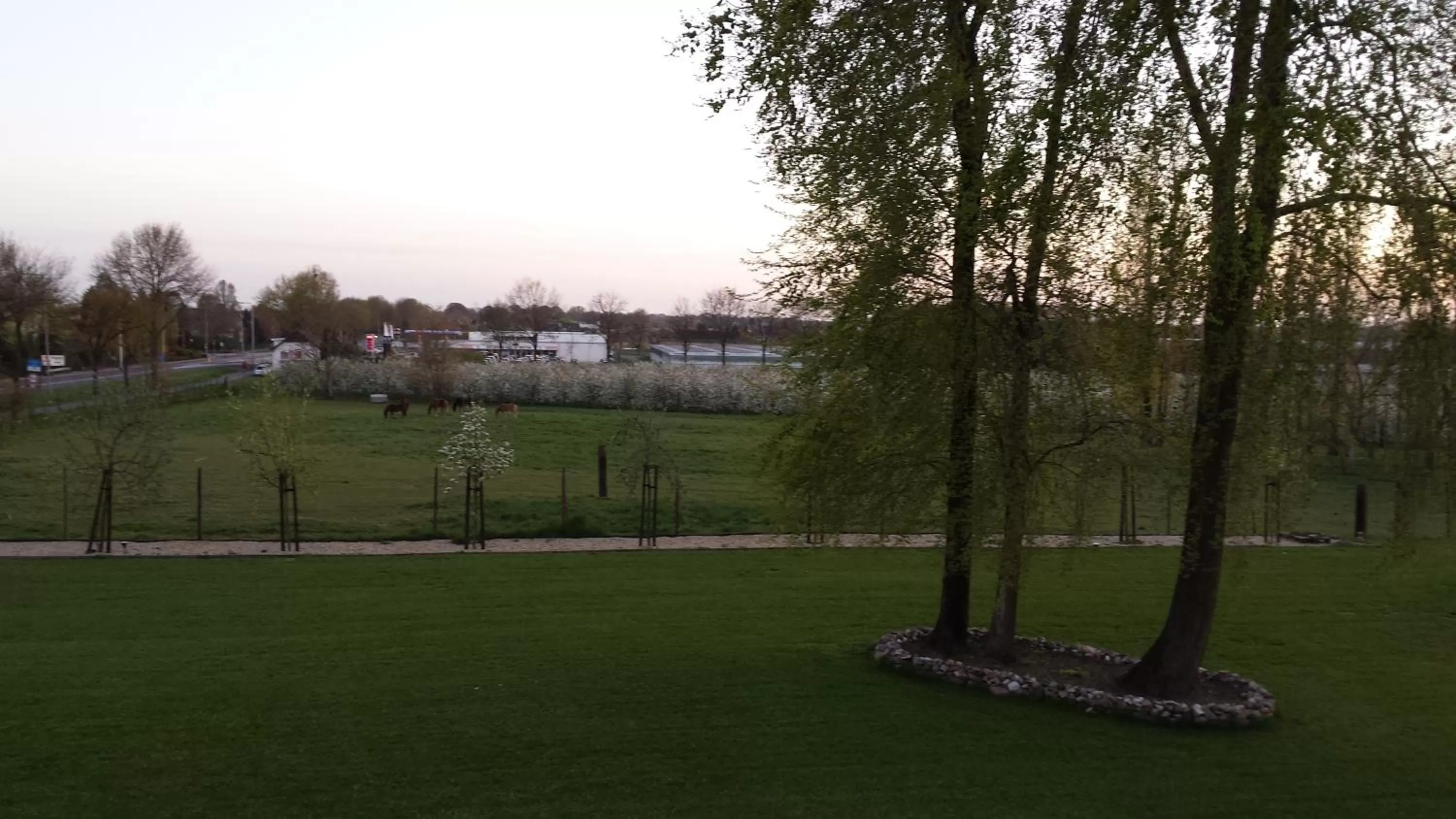 Garden in B&B Johannes-Hoeve