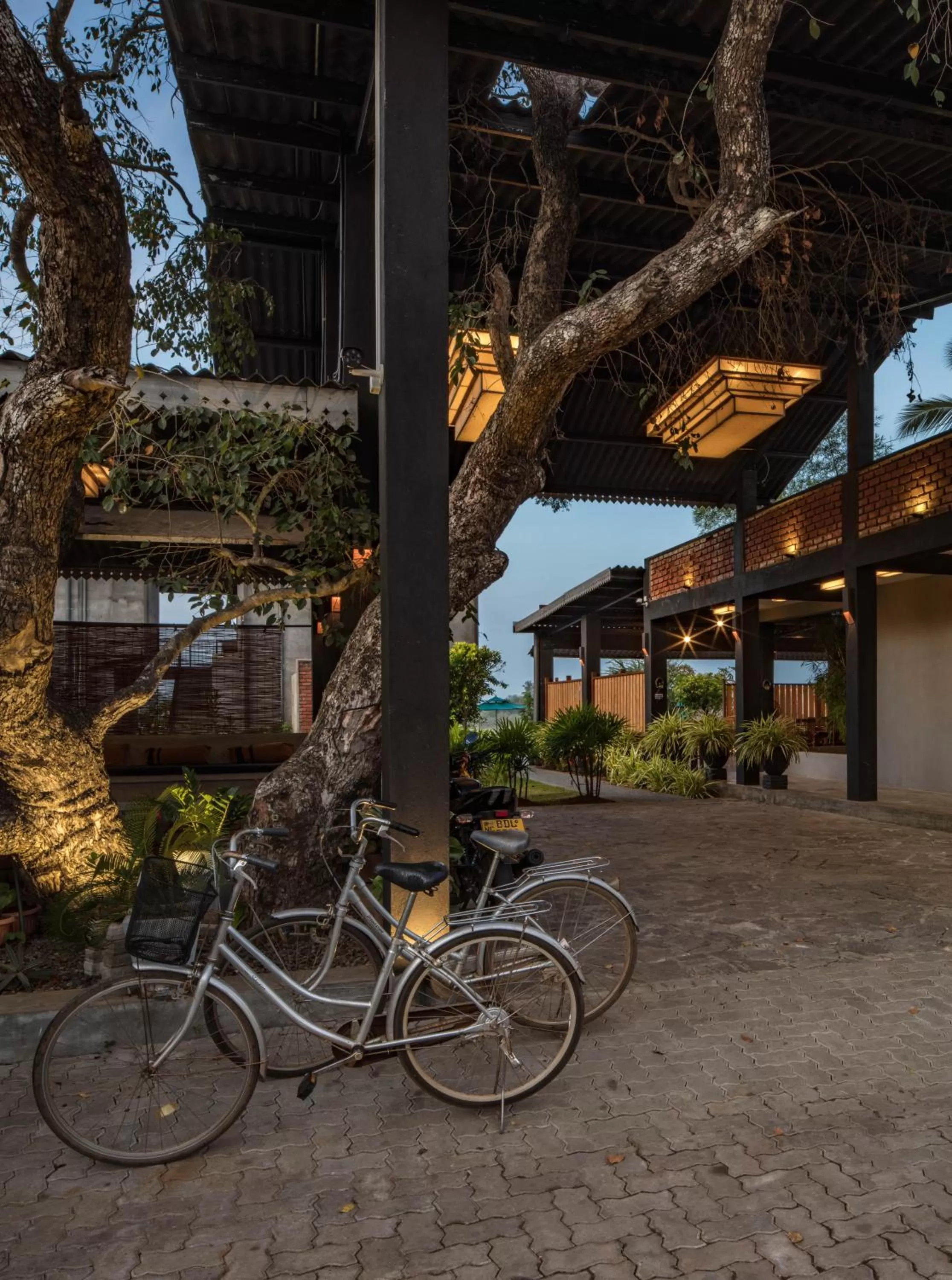 Day in Kubura Resort