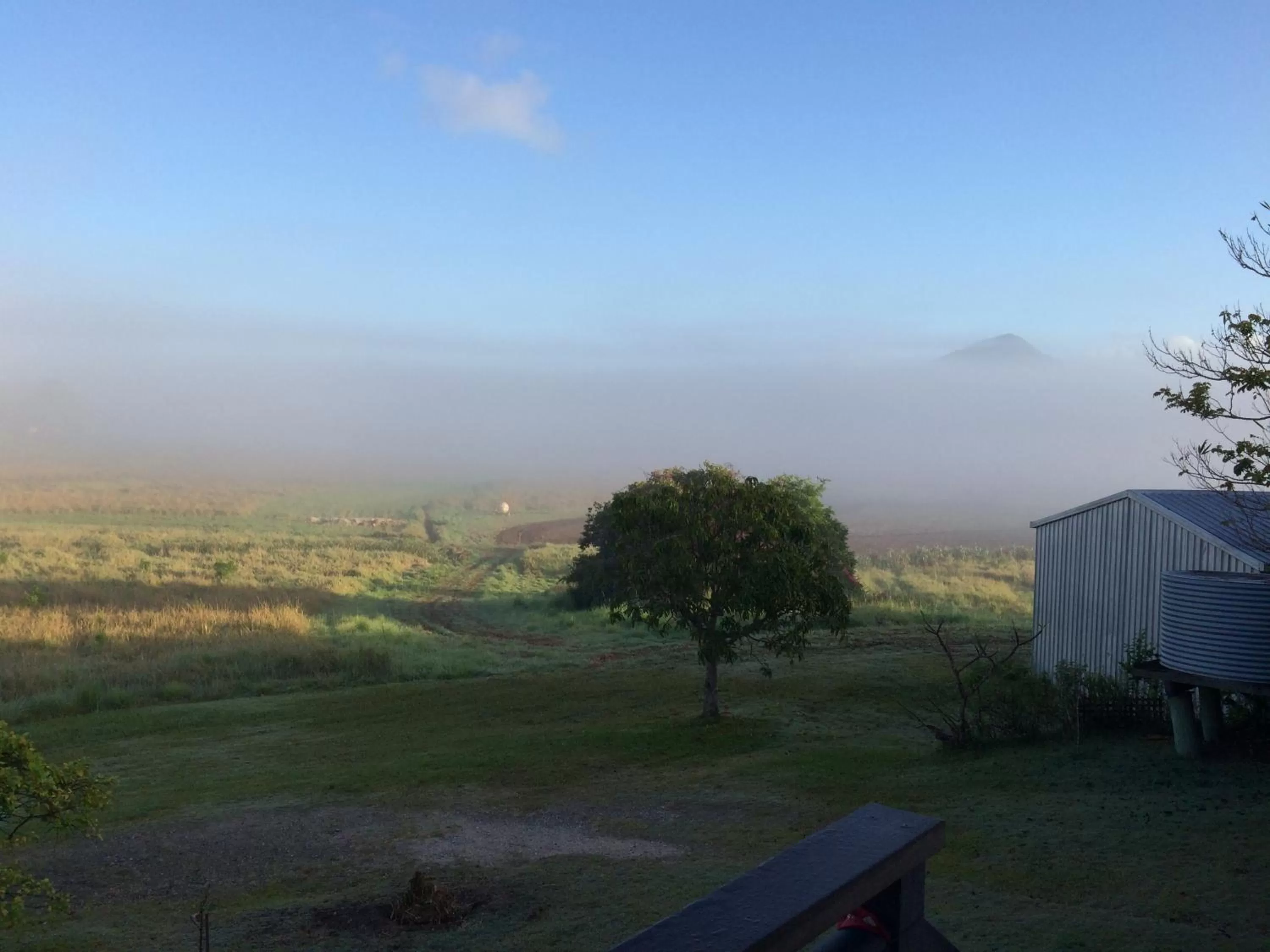 Natural landscape in Gridley Homestead B&B
