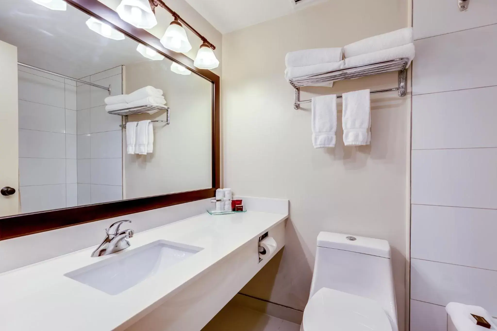 Deluxe King Suite in The Thompson Hotel Deluxe King Suite in The Thompson Hotel