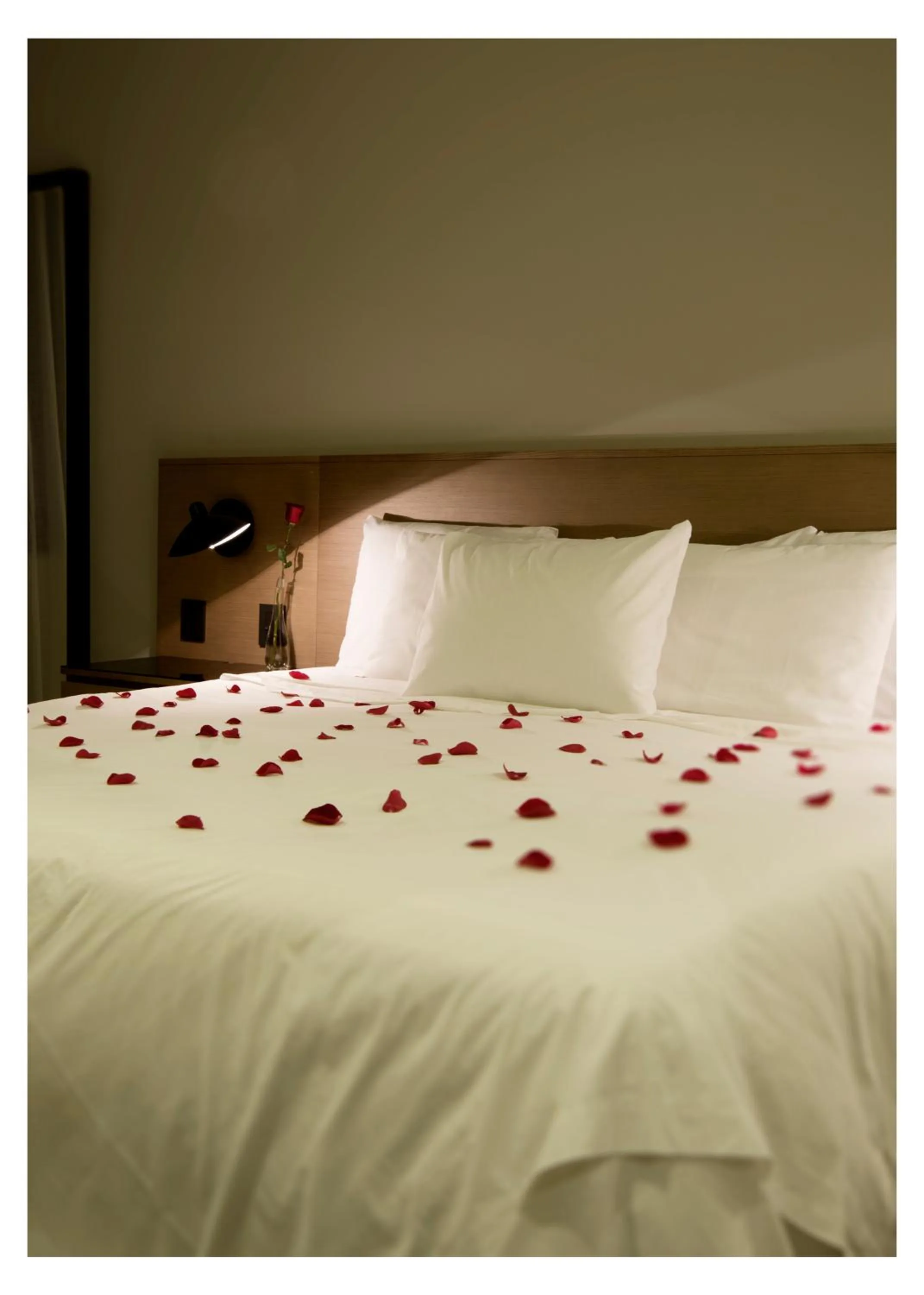 Bed in Casa Grande Suites