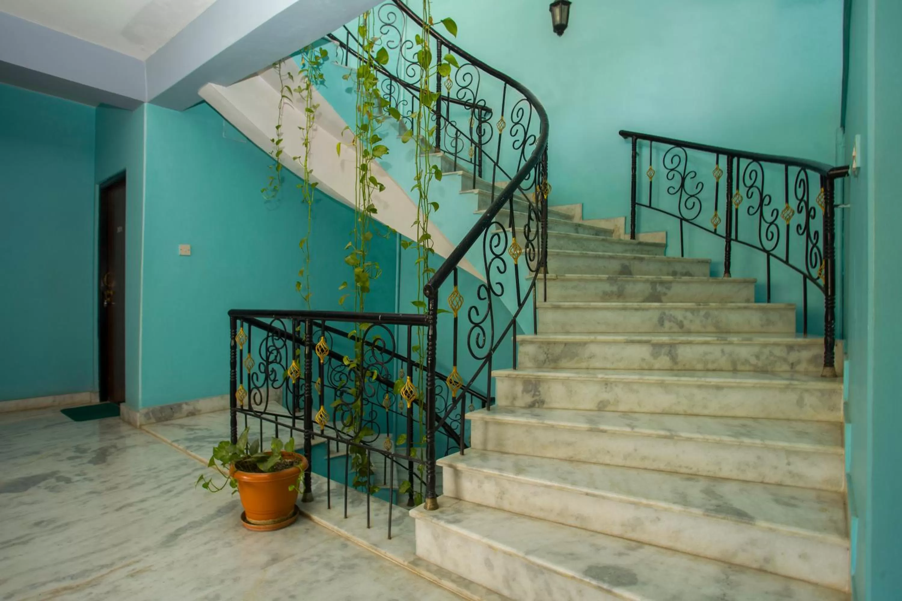 Area and facilities in The North Face Inn