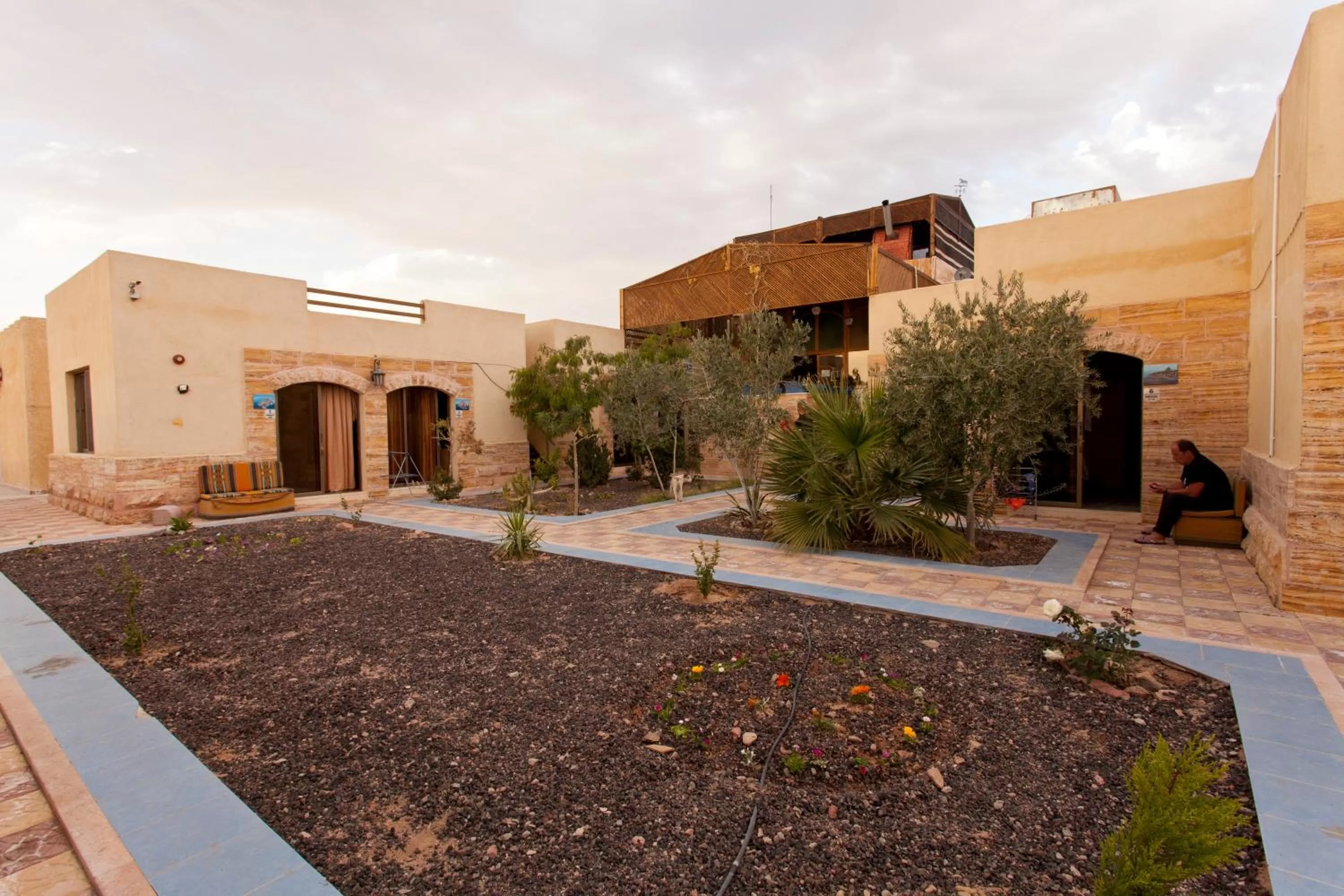 Garden in Arab Divers Dive Center and Bed & Breakfast