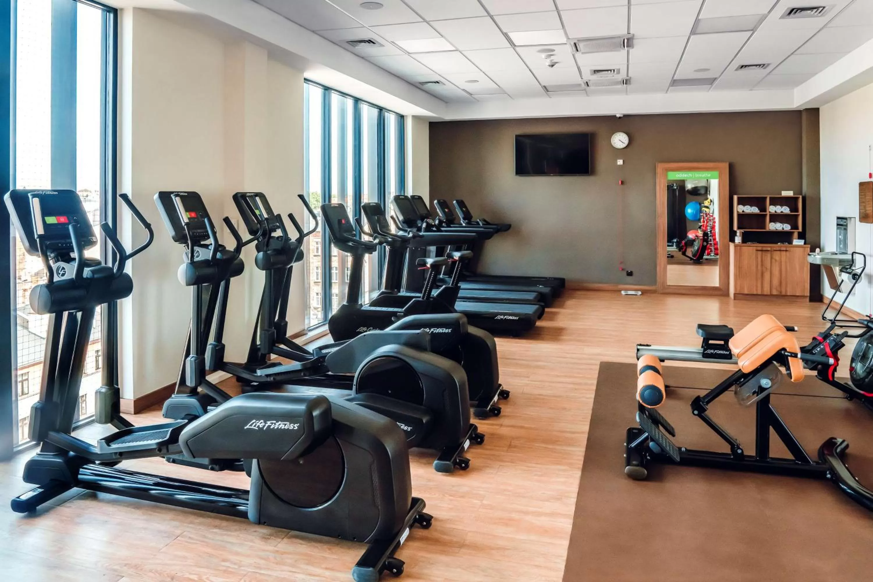 Fitness centre/facilities in Hampton By Hilton Kalisz