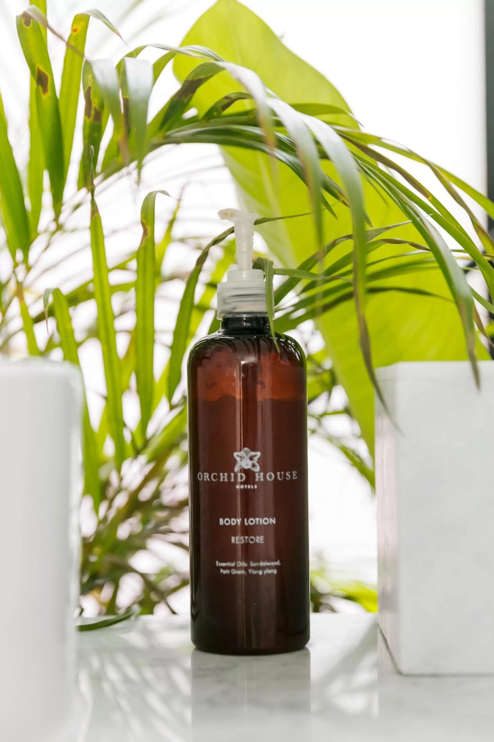 Bathroom in Orchid House Mexico City