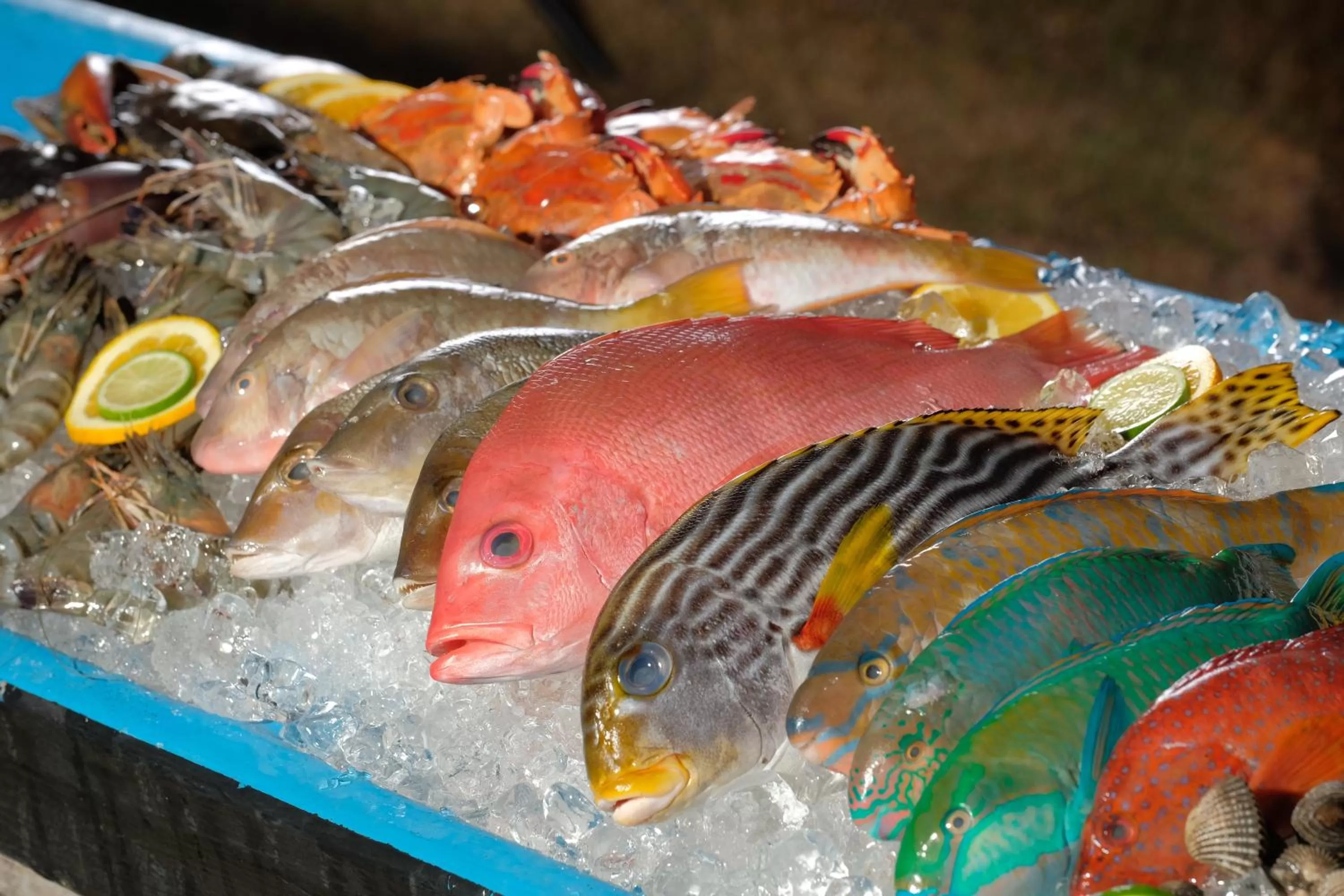 Dinner in Mimpi Resort Menjangan
