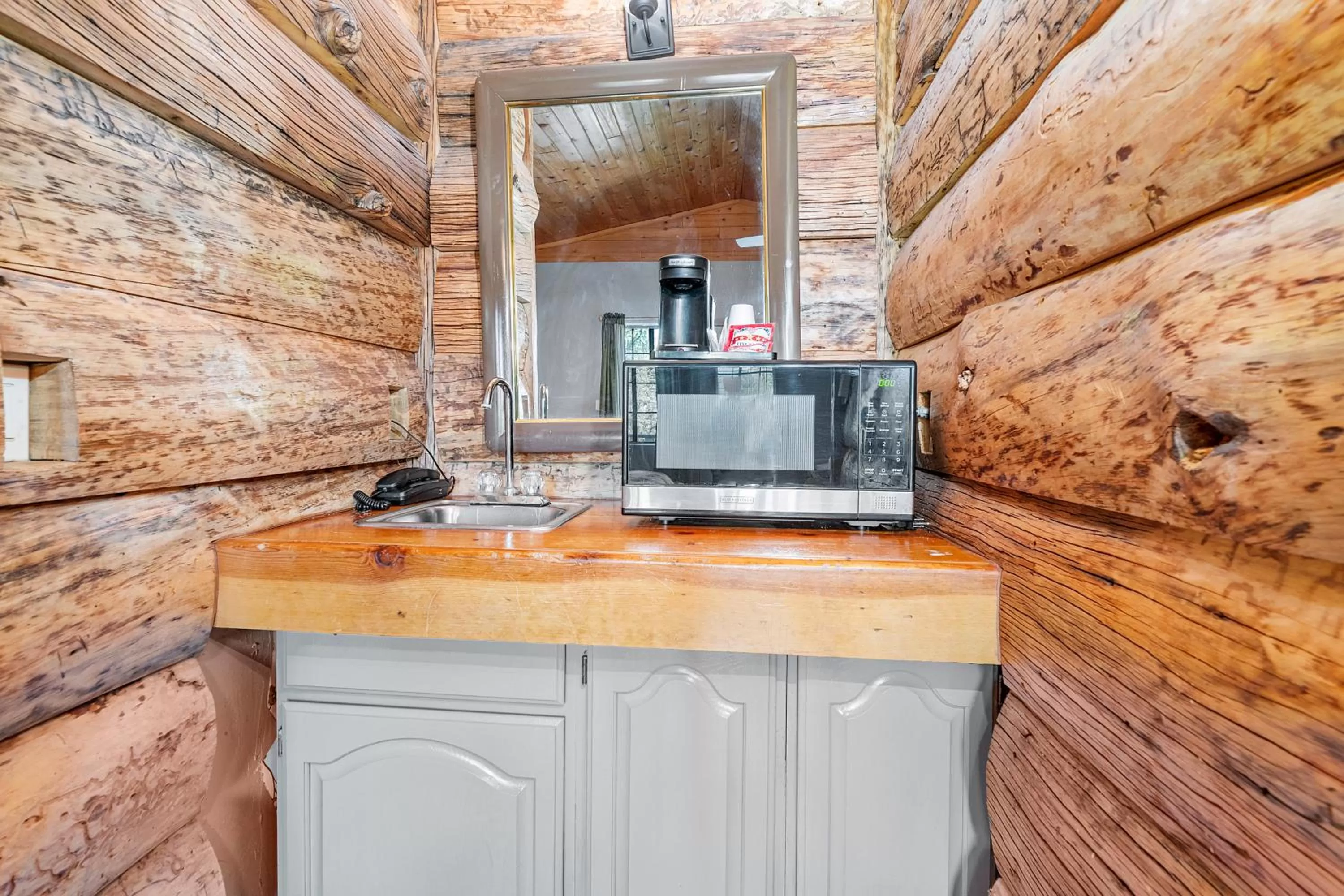 Kitchen or kitchenette in Black Forest Lodge