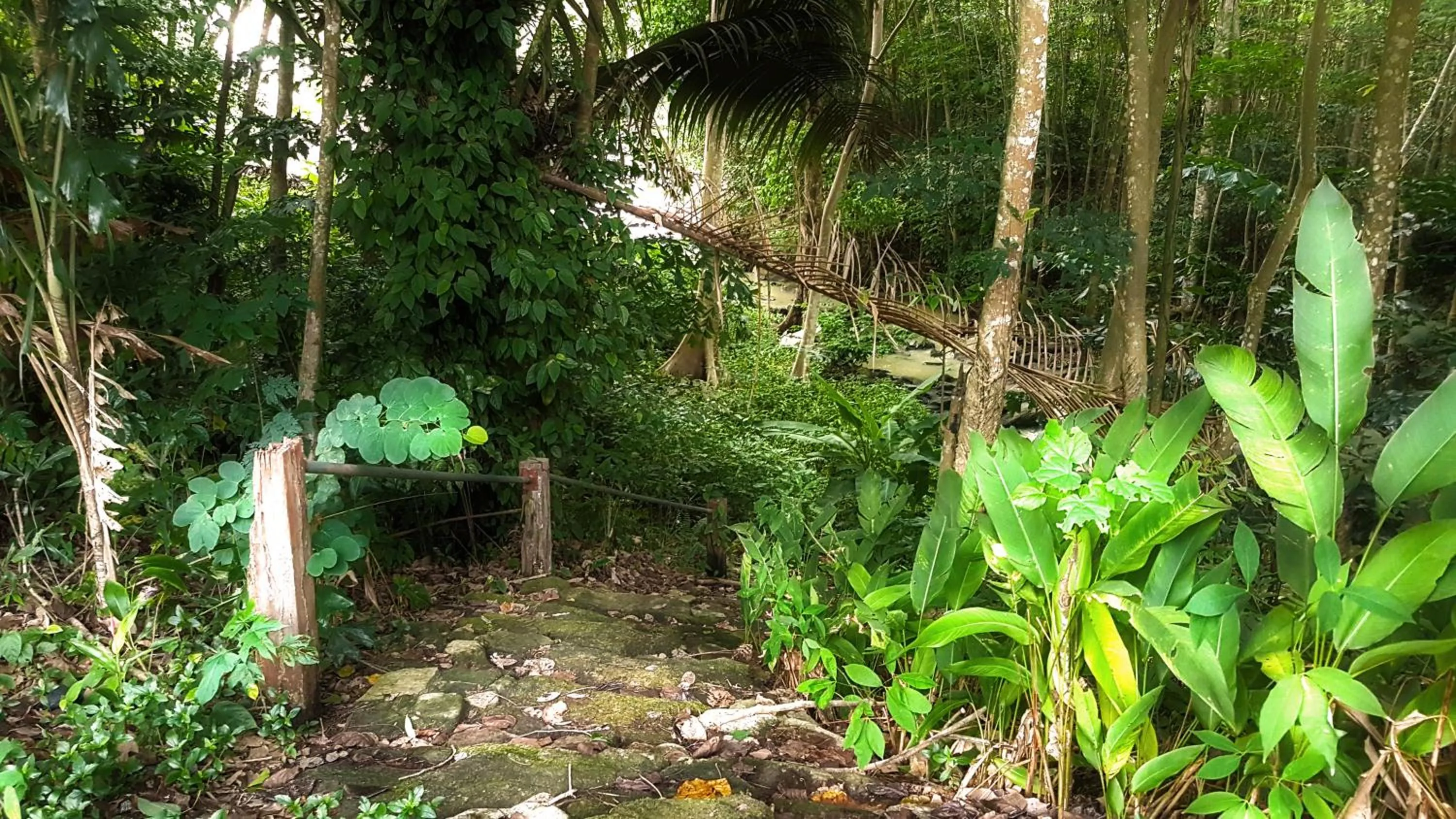 View (from property/room) in Brookside Valley Resort