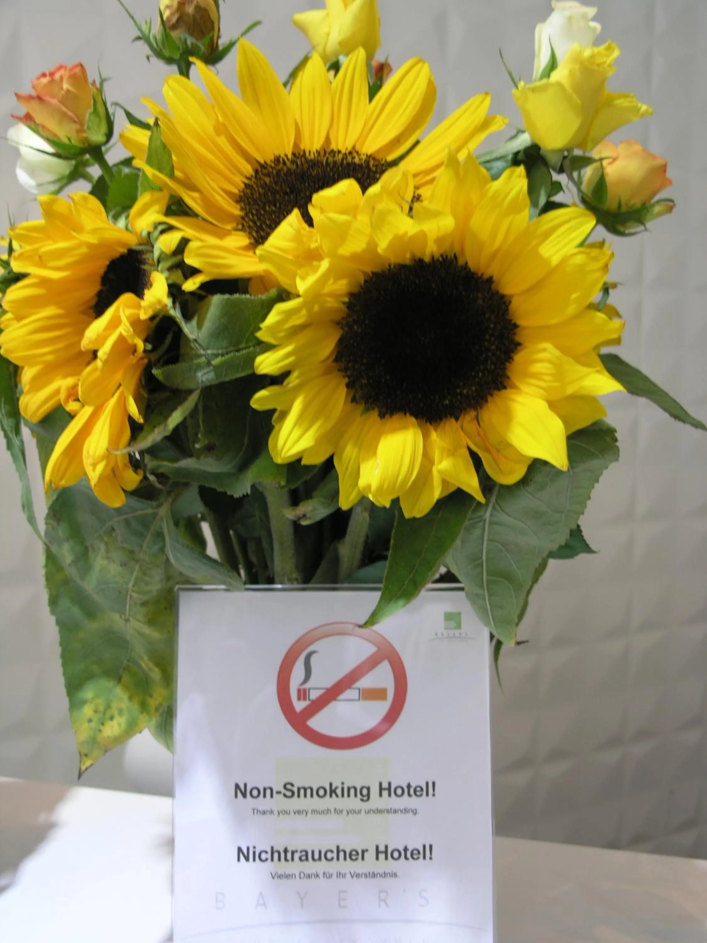 Other in Hotel Bayer's