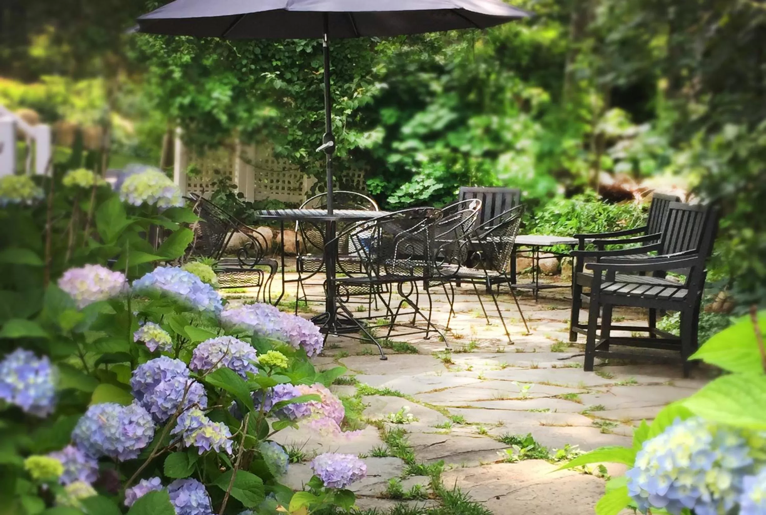 Patio in Frederick William House