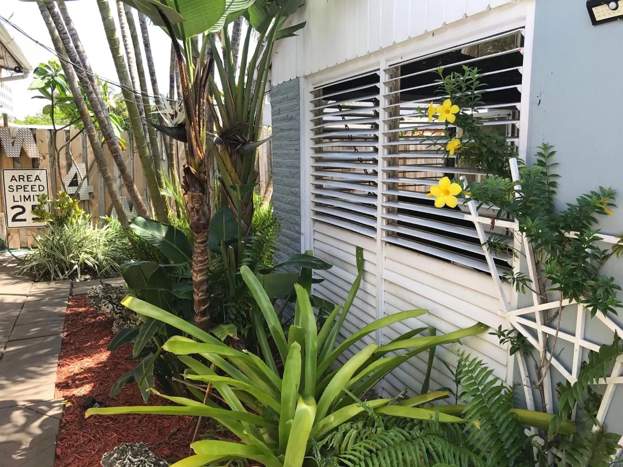 Natural landscape in INN LEATHER GUEST HOUSE-GAY MALE ONLY