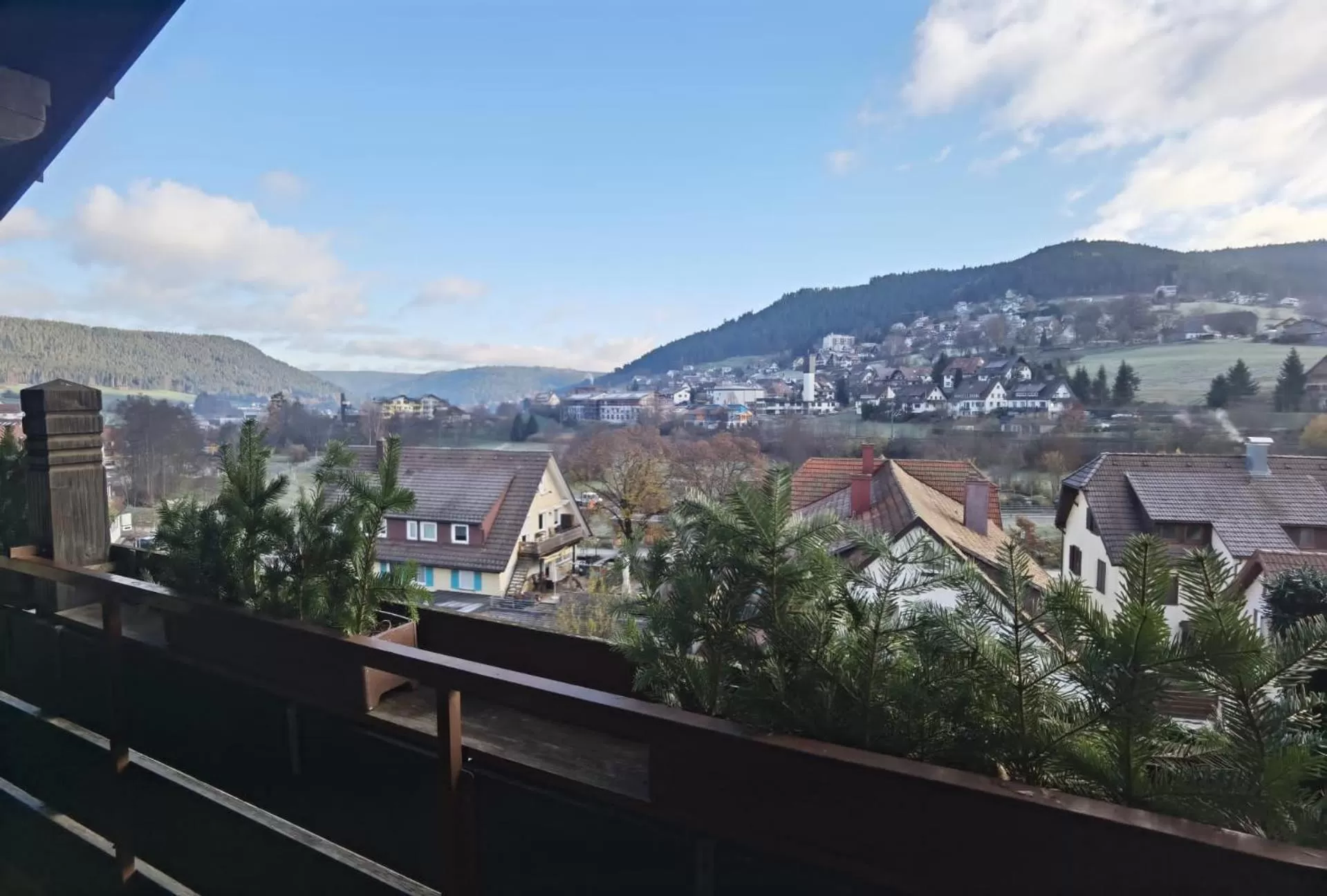 View (from property/room) in Hotel Rose