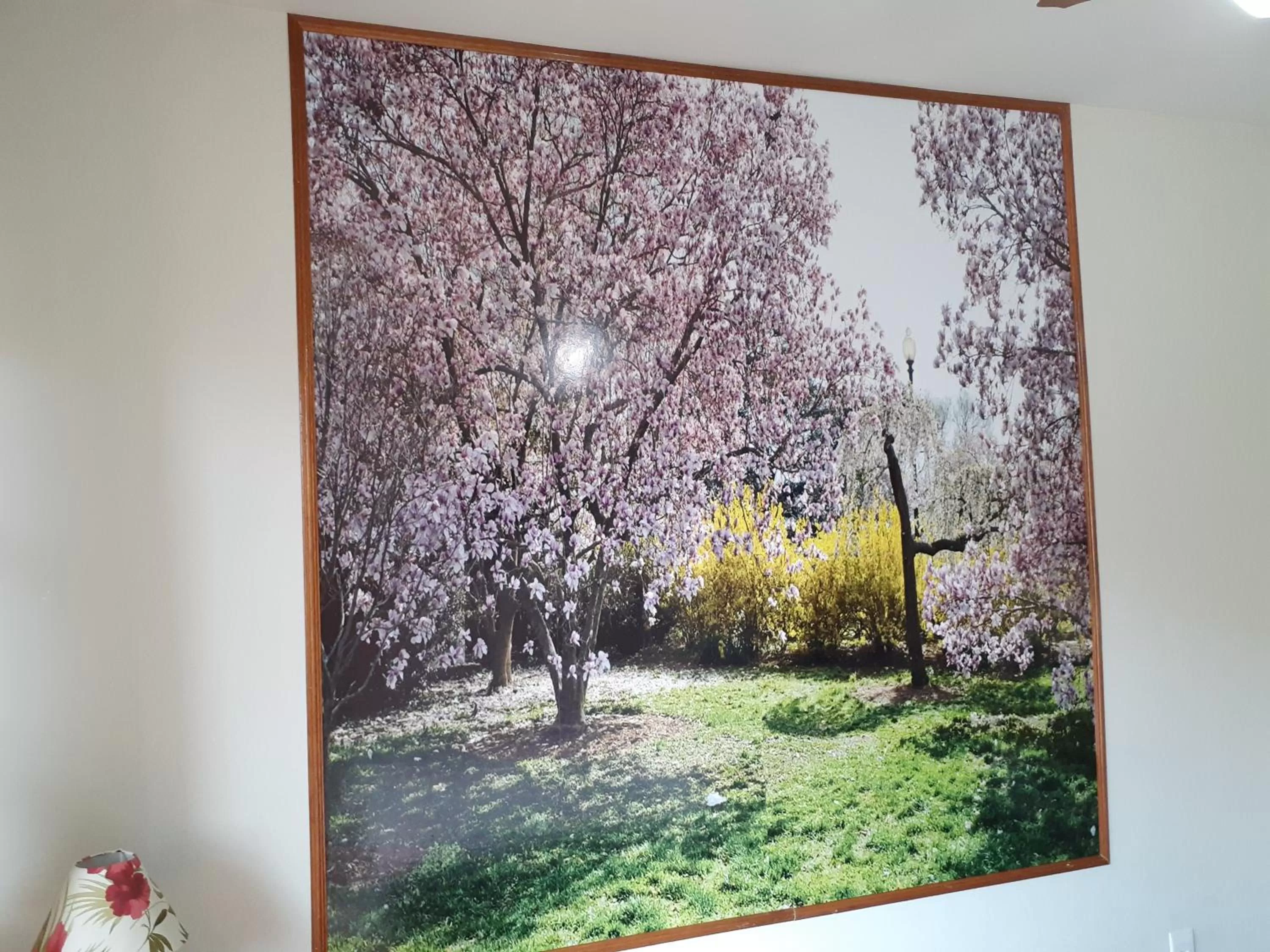 Pousada R.N.C. Nosso Paraíso