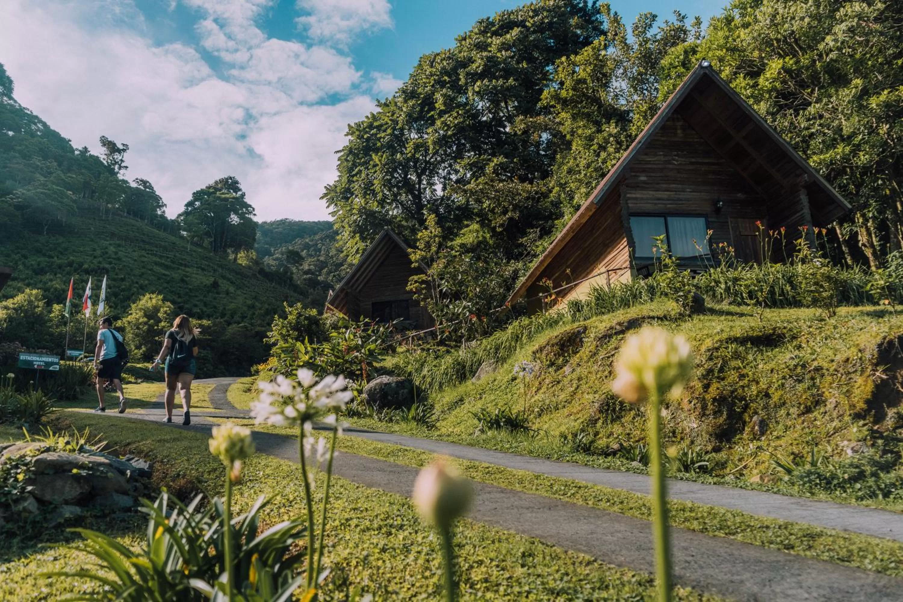 Property building in TREE TREK BOQUETE Adventure Park