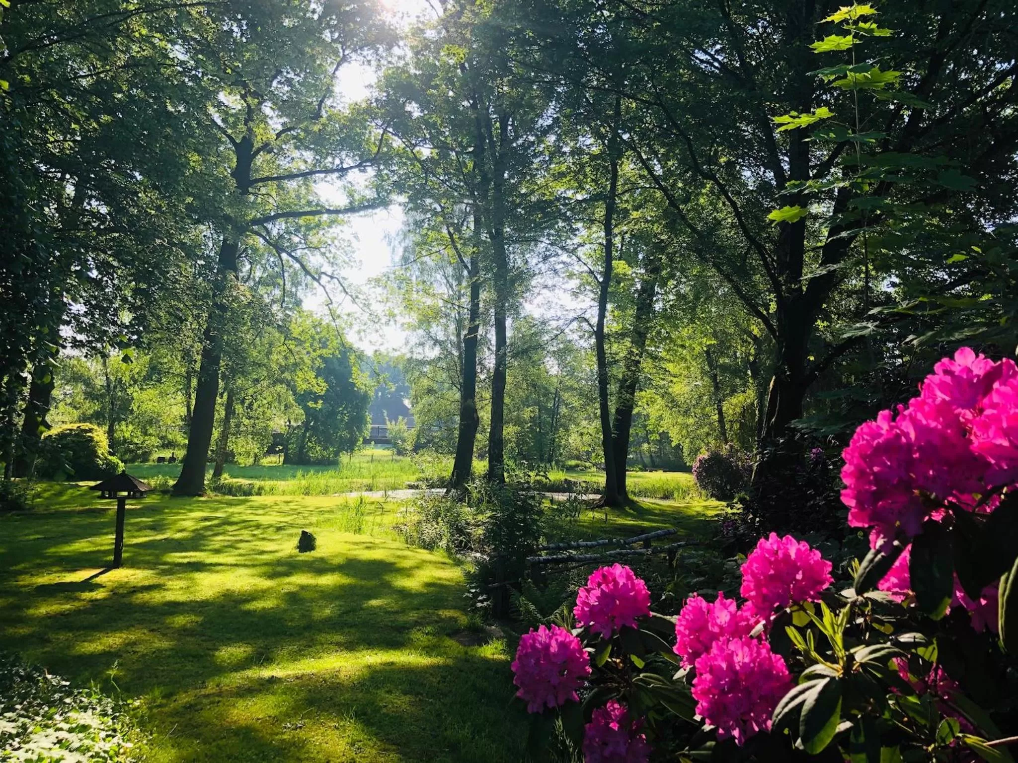 Garden in Landhotel Gutshof im Oertzetal in Oldendorf, Südheide