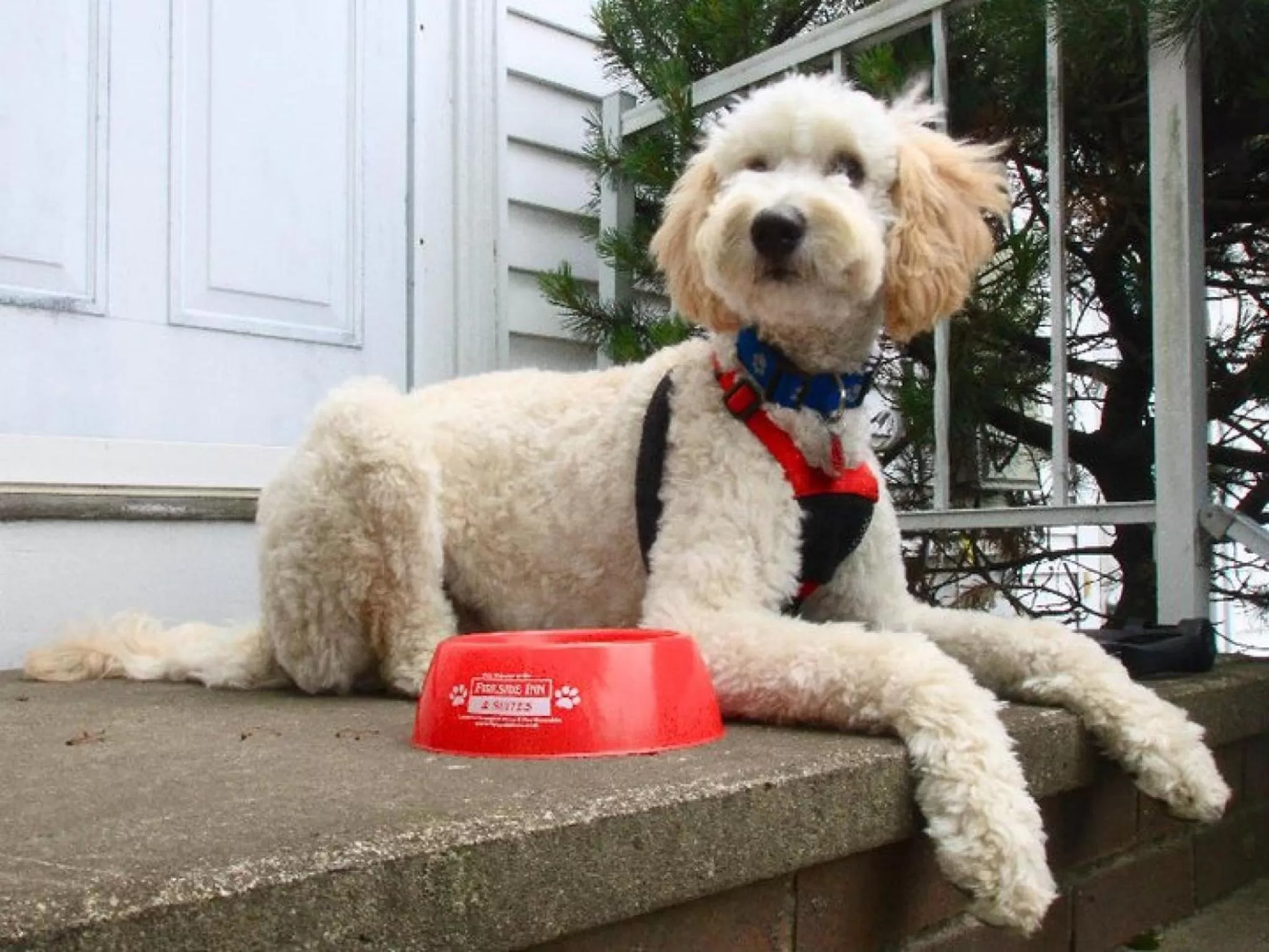 Decorative detail in Fireside Inn & Suites Portland