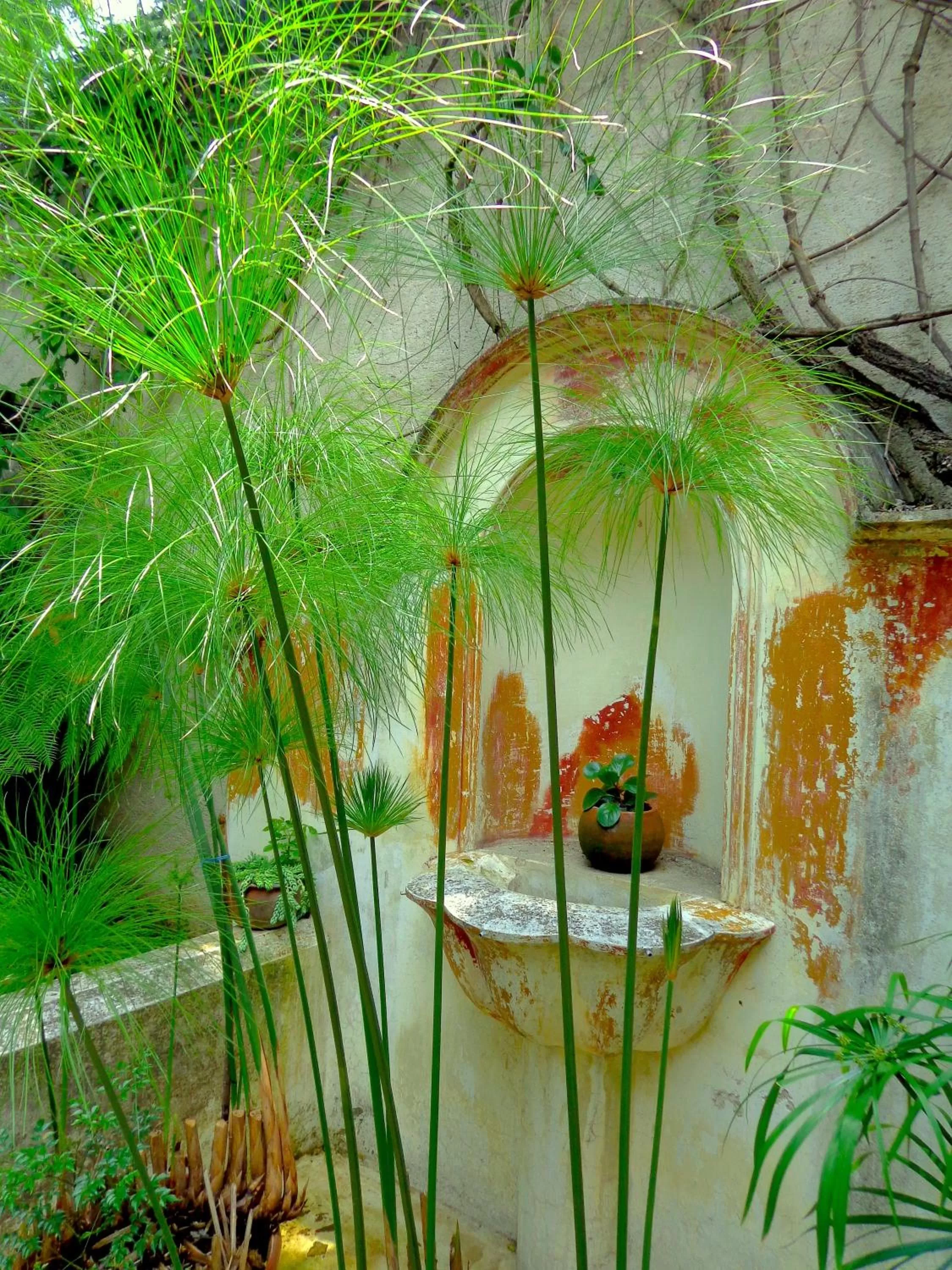 Cissus Hotel Boutique