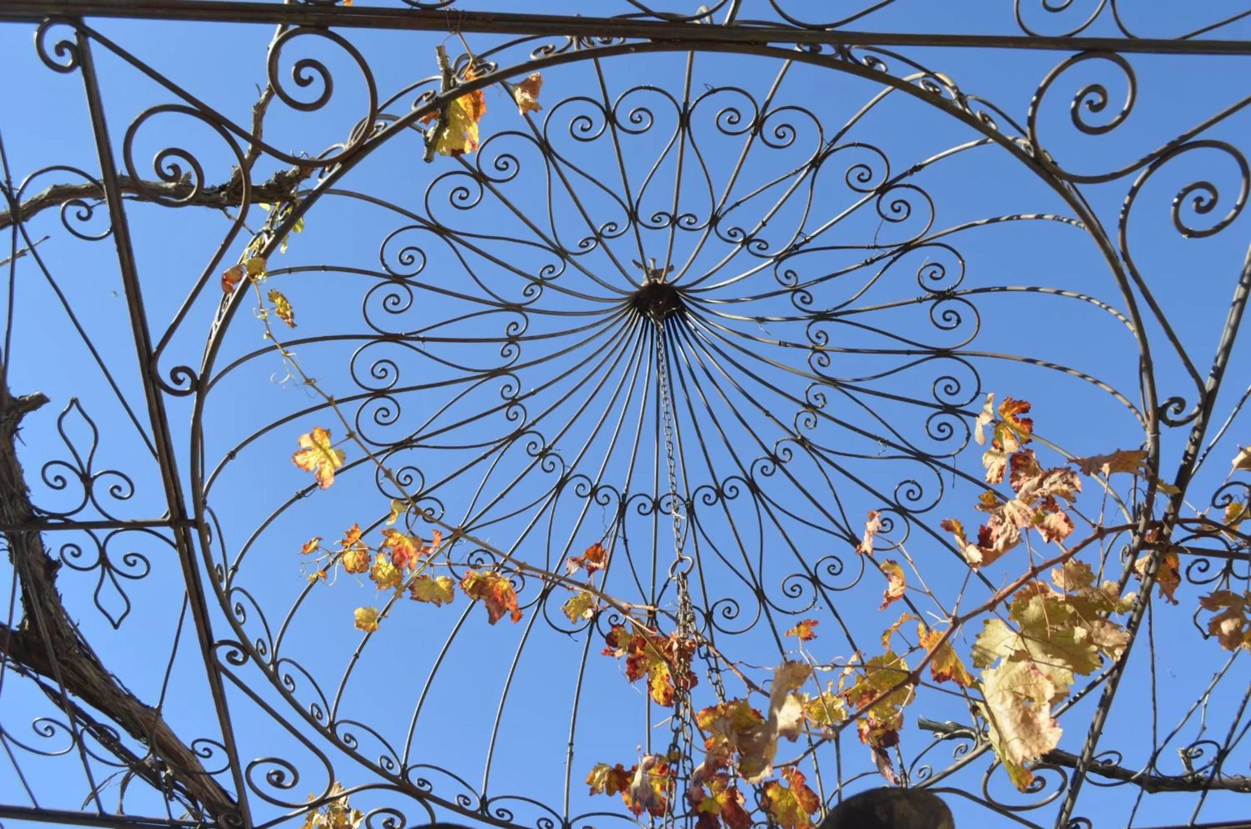 Bird's eye view in Dar Meziana